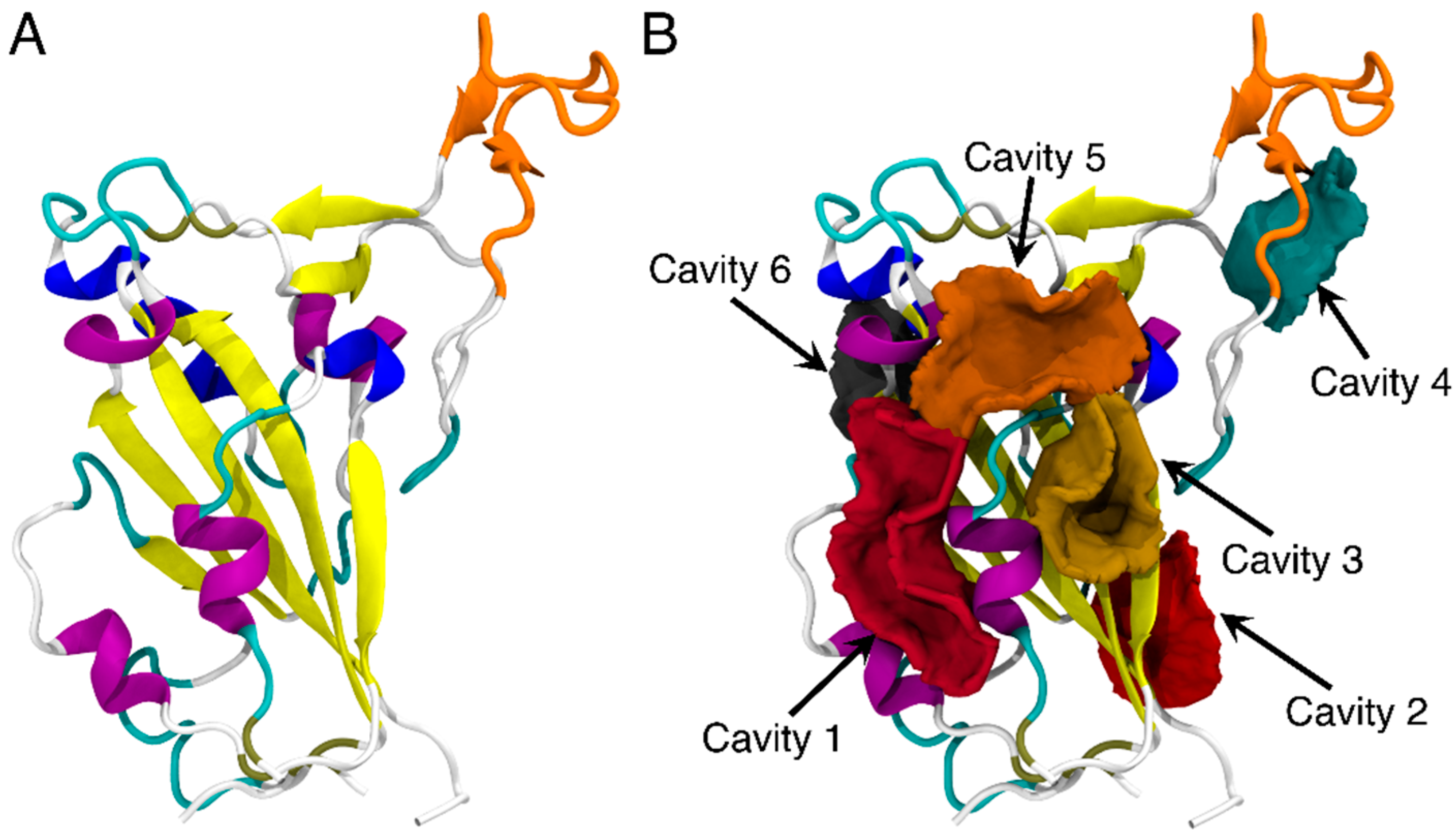 Biomolecules 13 00359 g001