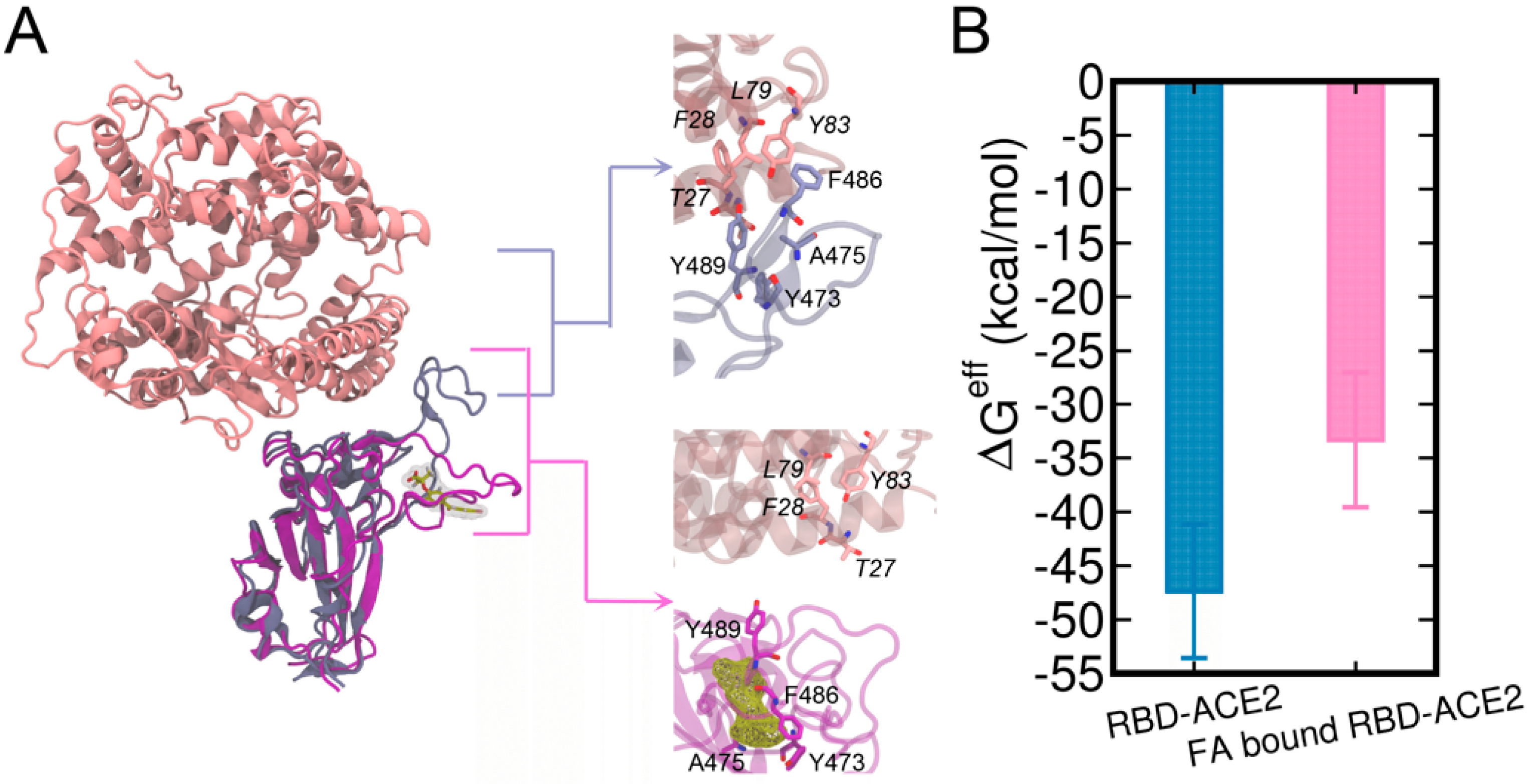 Biomolecules 13 00359 g006