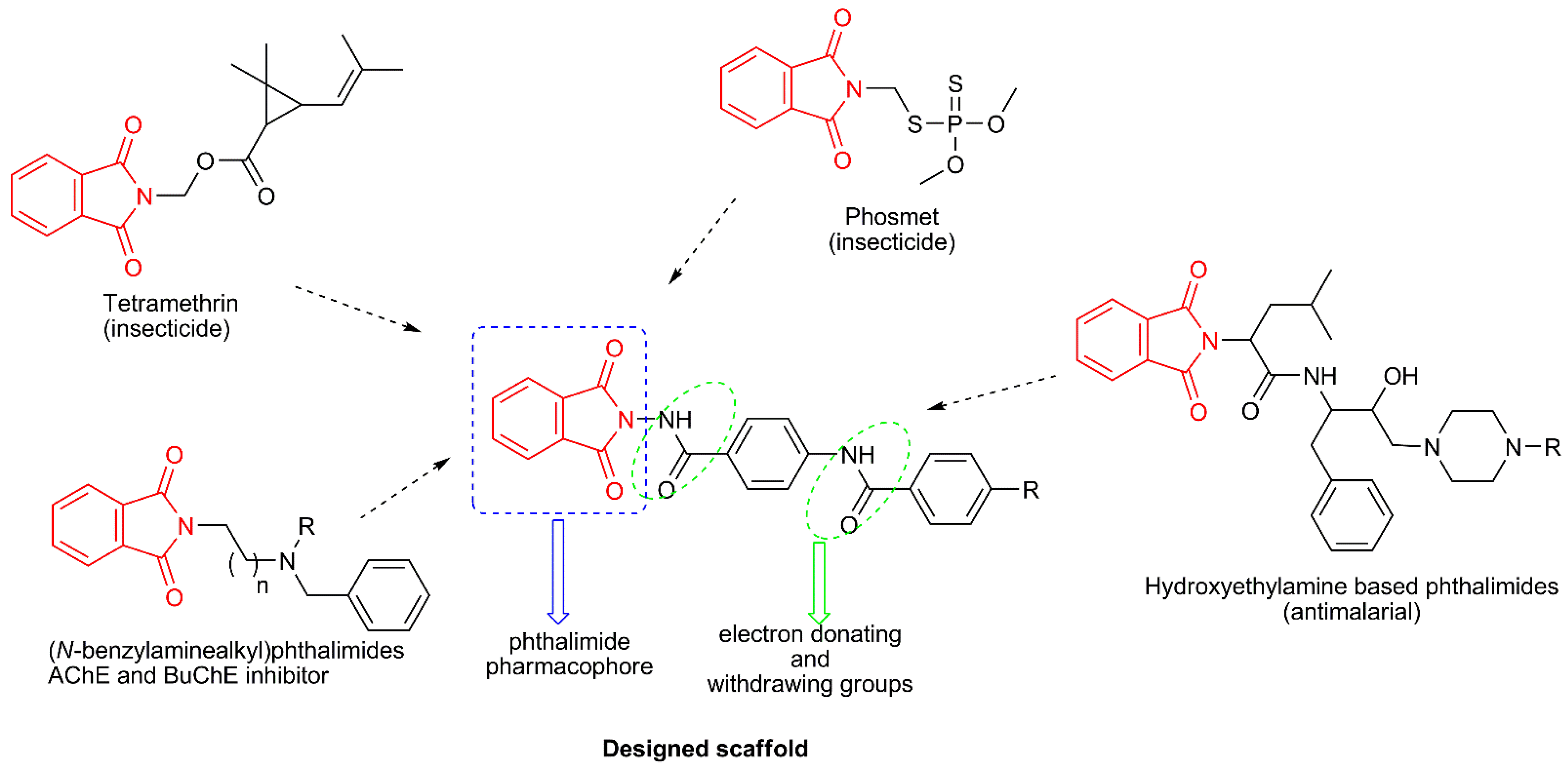 Biomolecules 13 00361 g001