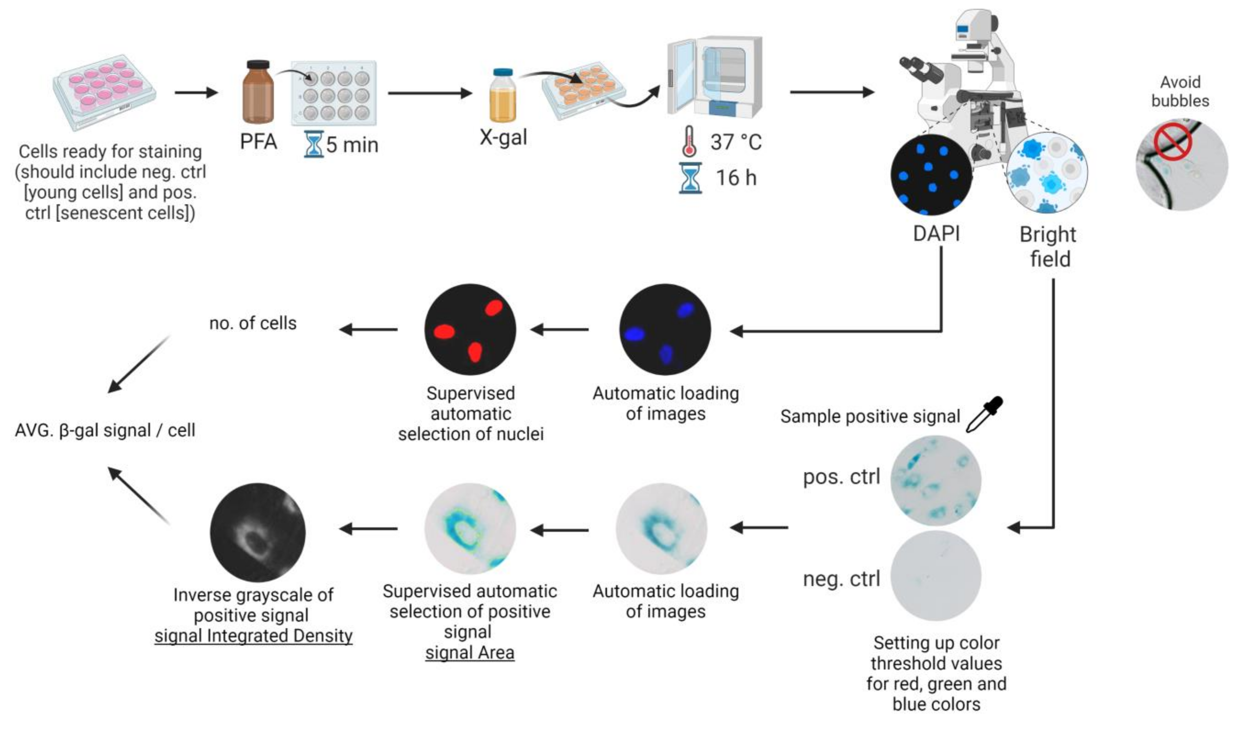Biomolecules 13 00362 g001