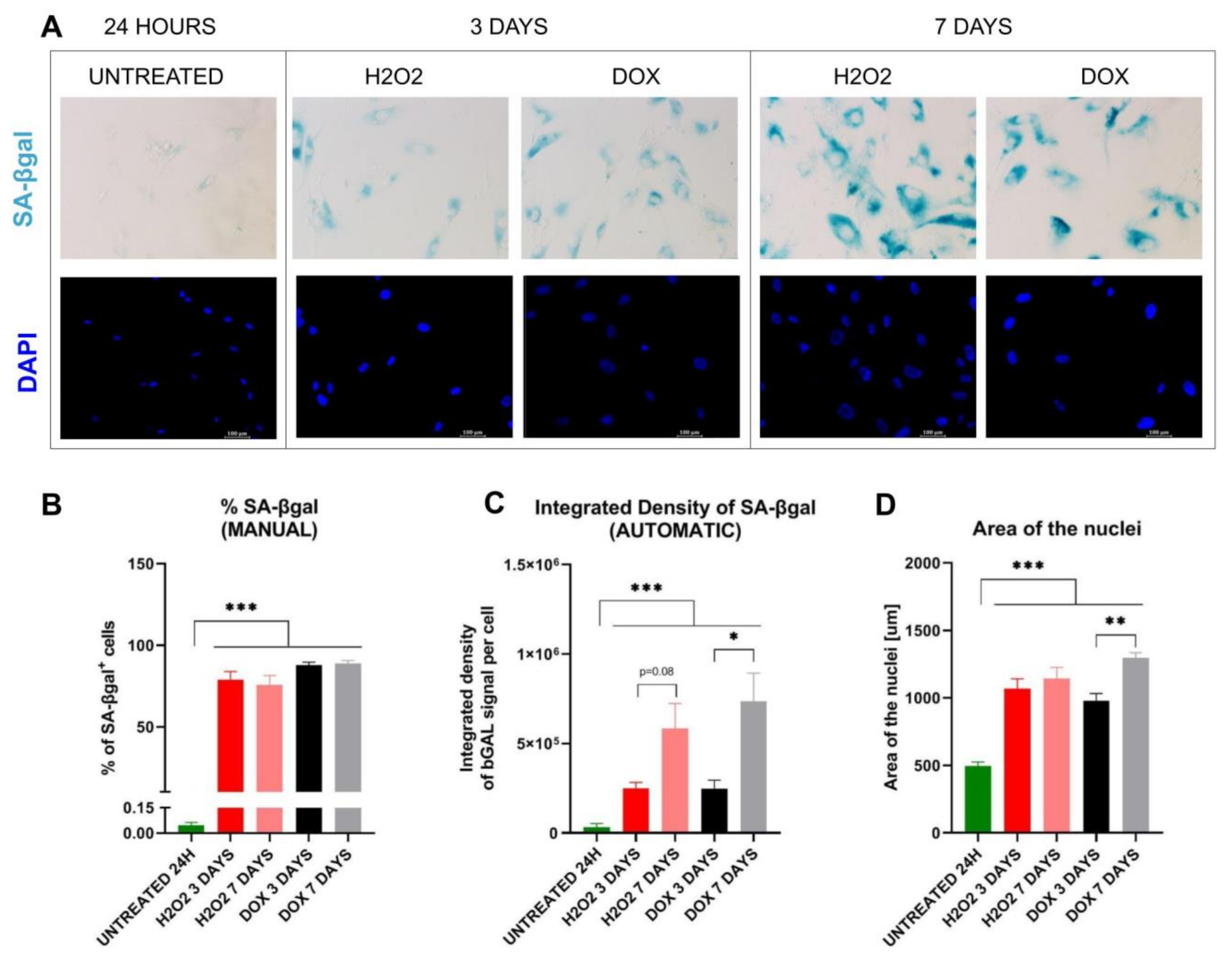 Biomolecules 13 00362 g002