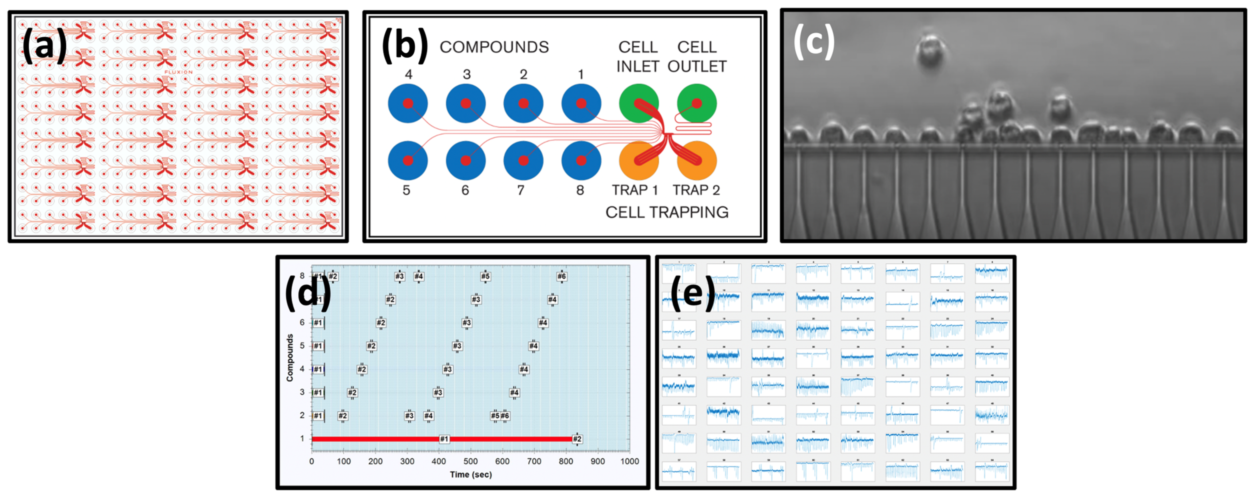 Biomolecules 13 00365 g001