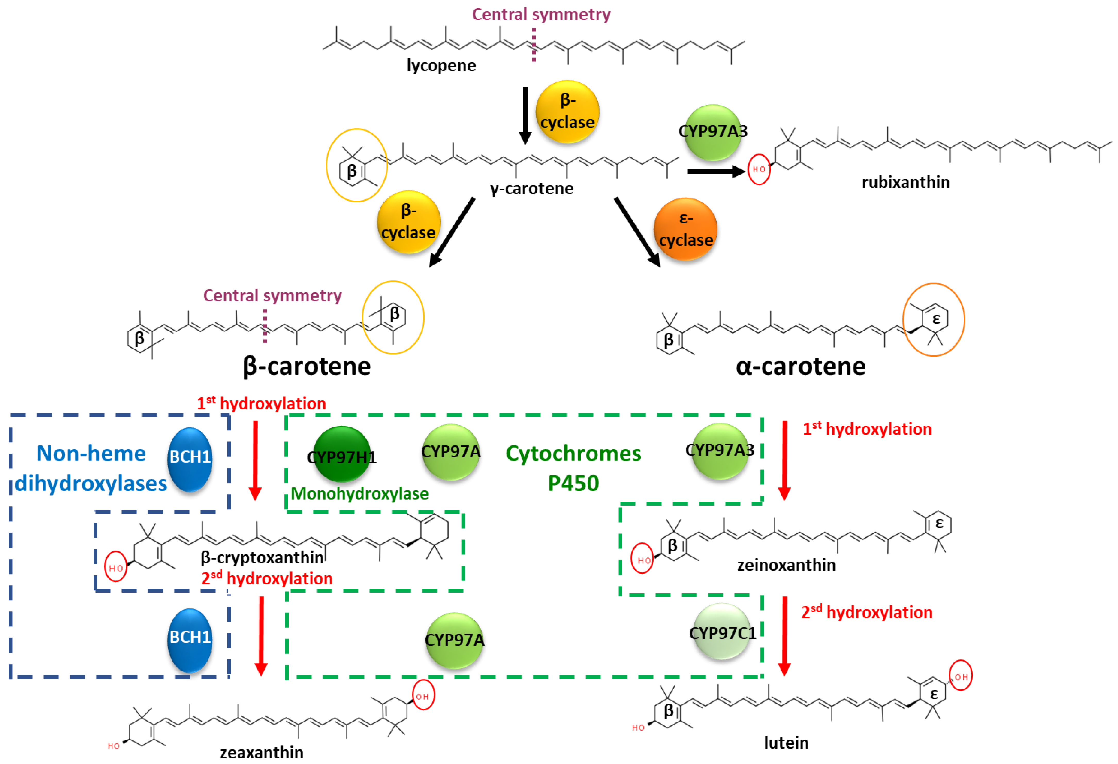 Biomolecules 13 00366 g001 Biomolecules 13 00366 g001