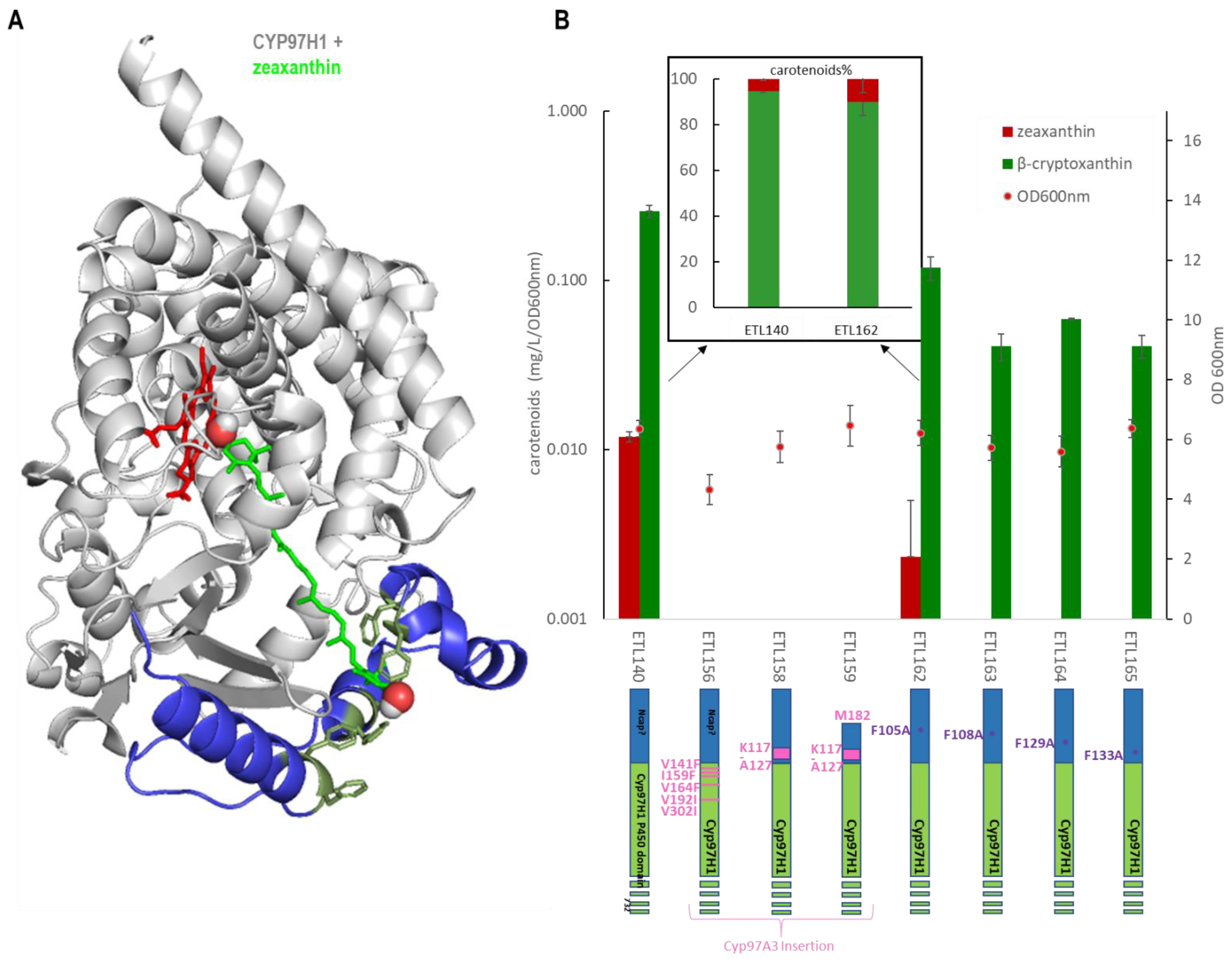 Biomolecules 13 00366 g005 Biomolecules 13 00366 g005