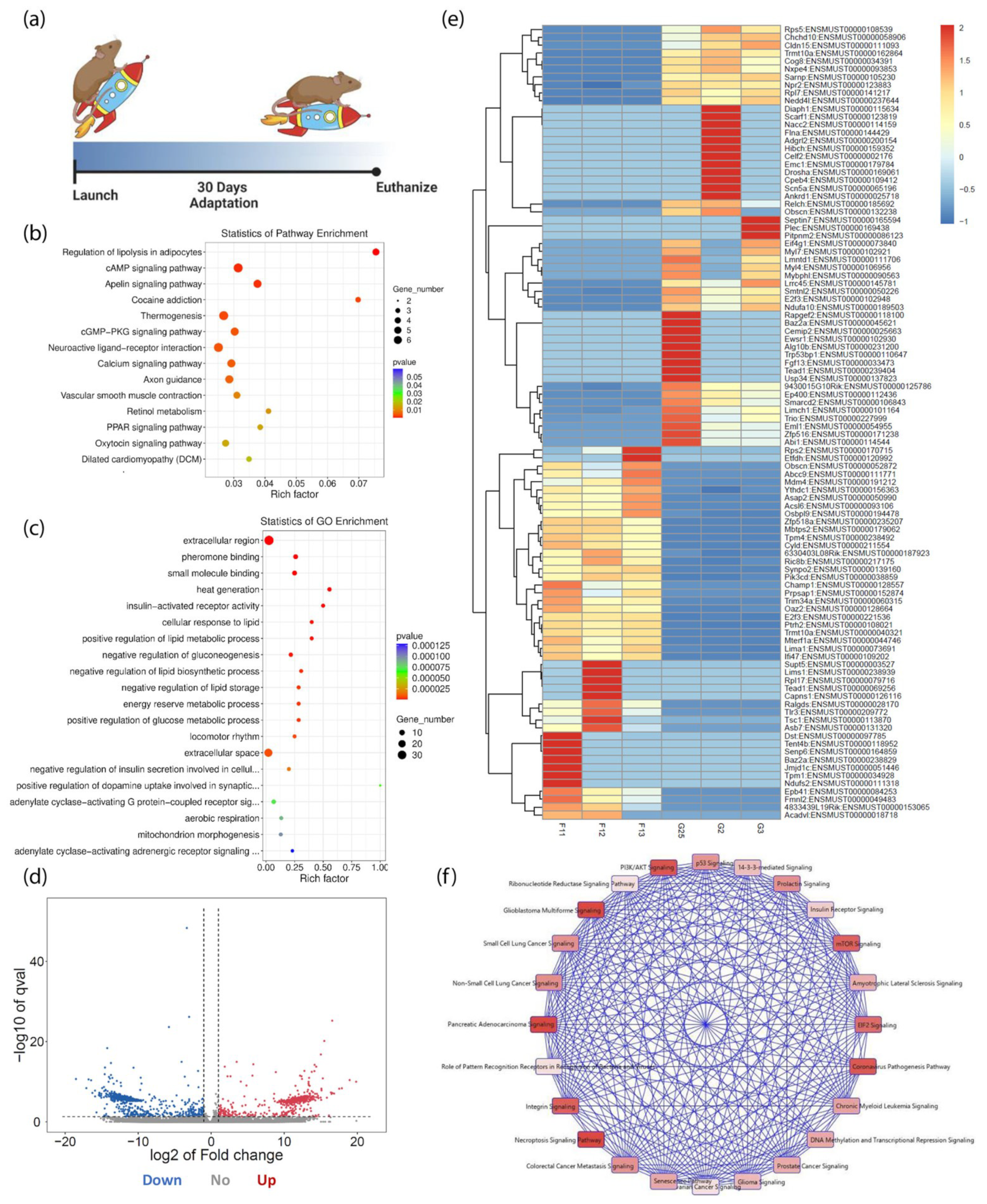 Biomolecules 13 00371 g001 Biomolecules 13 00371 g001