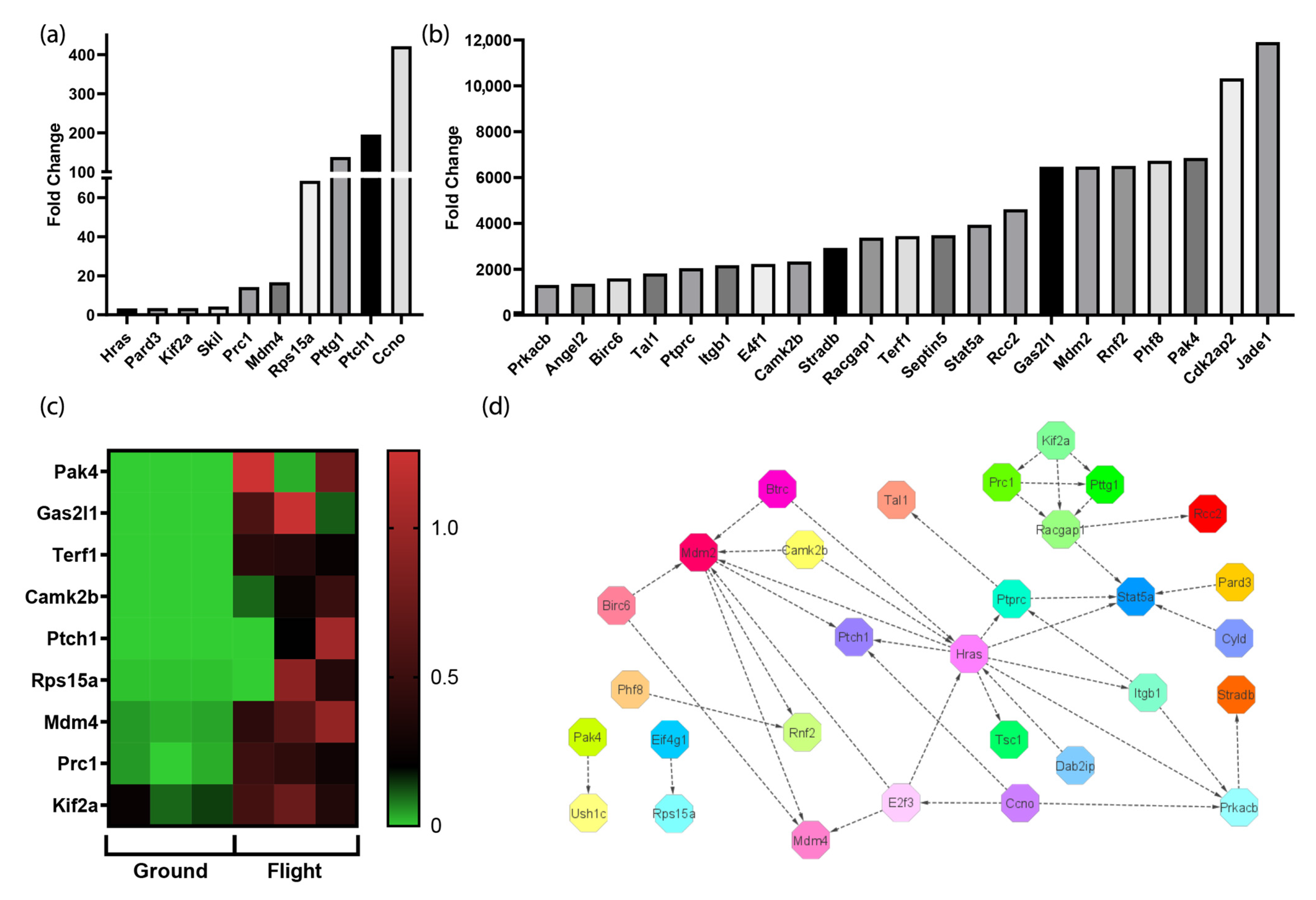 Biomolecules 13 00371 g005 Biomolecules 13 00371 g005
