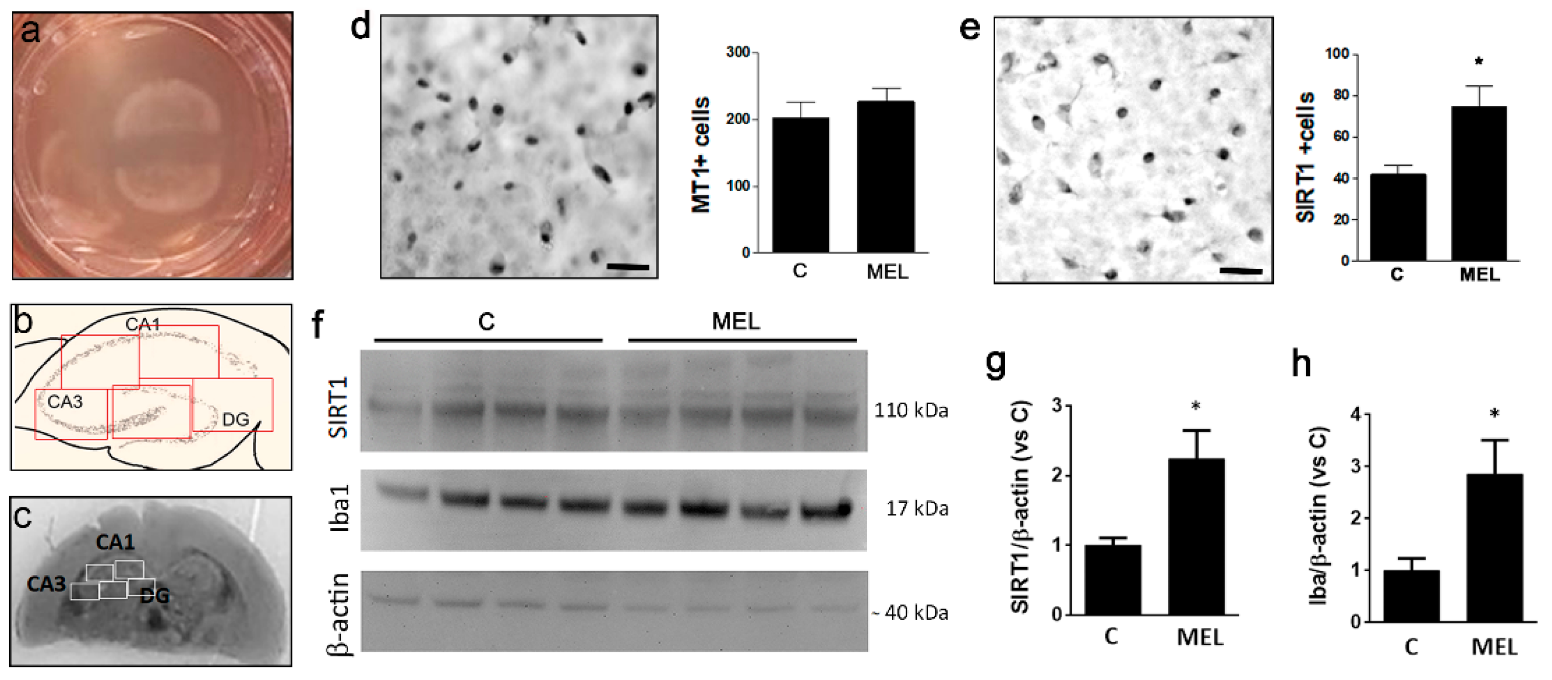 Biomolecules 13 00373 g001