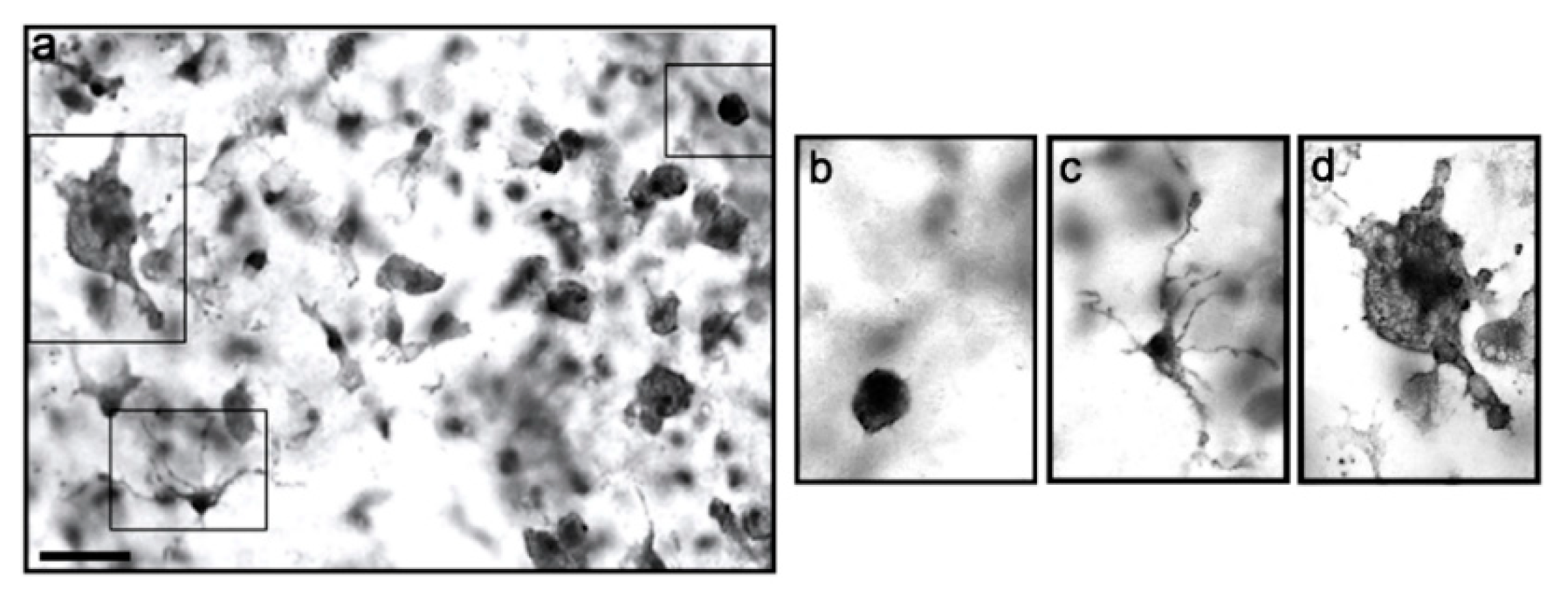 Biomolecules 13 00373 g002