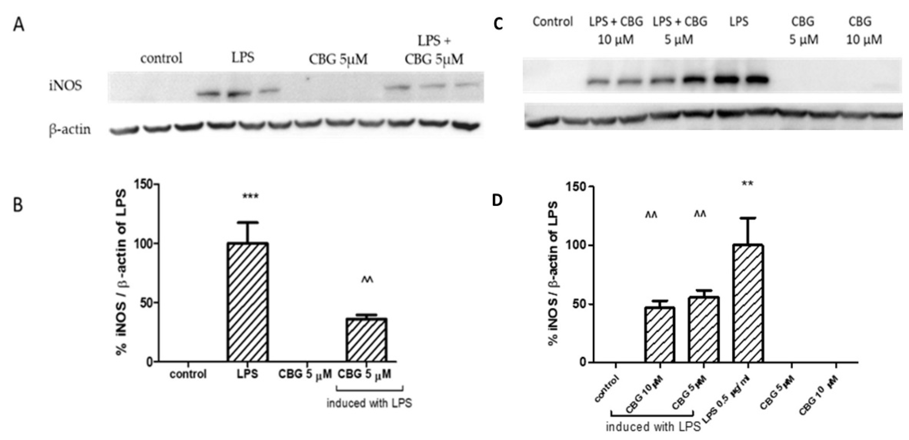 Biomolecules 13 00376 g004
