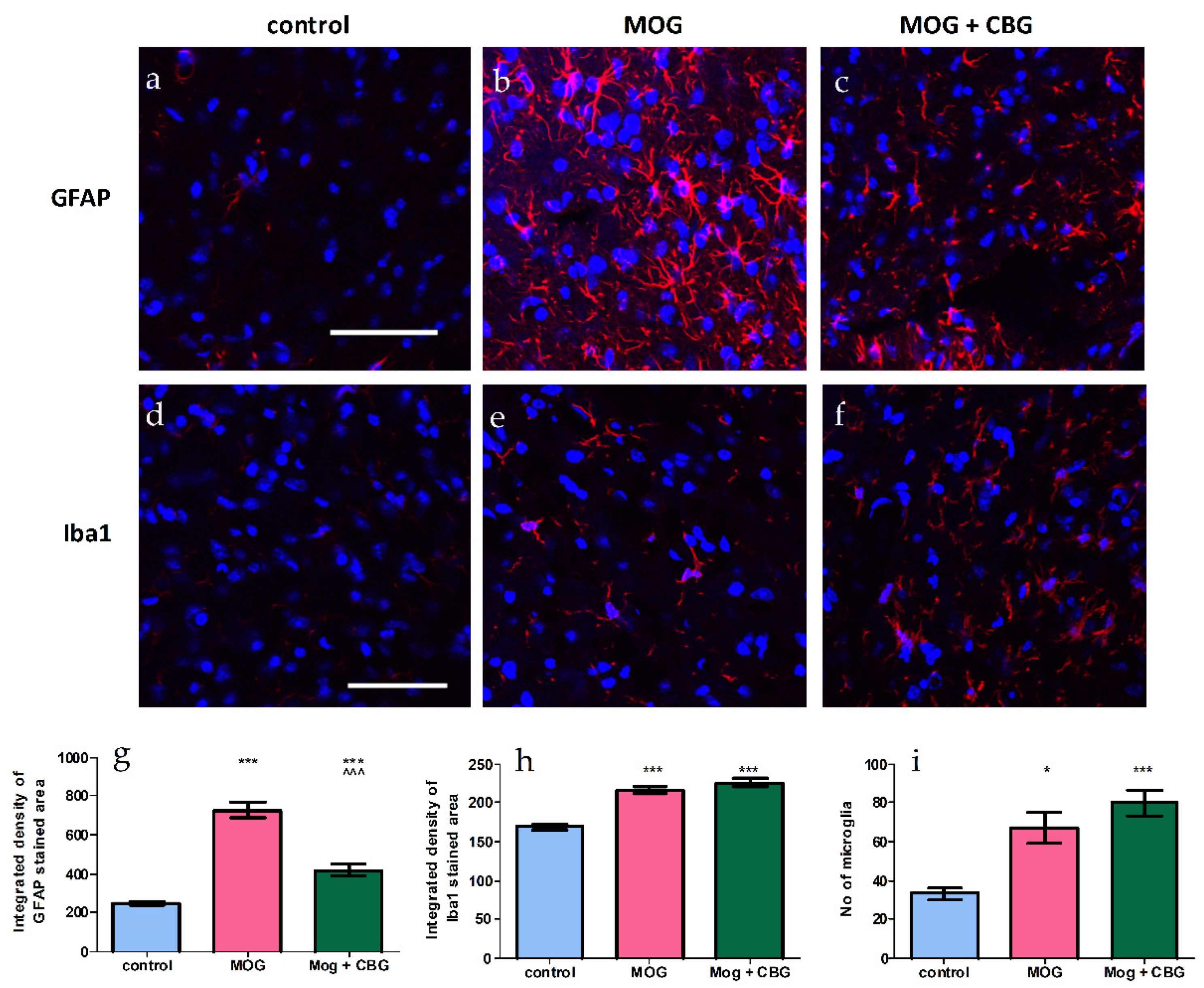 Biomolecules 13 00376 g006