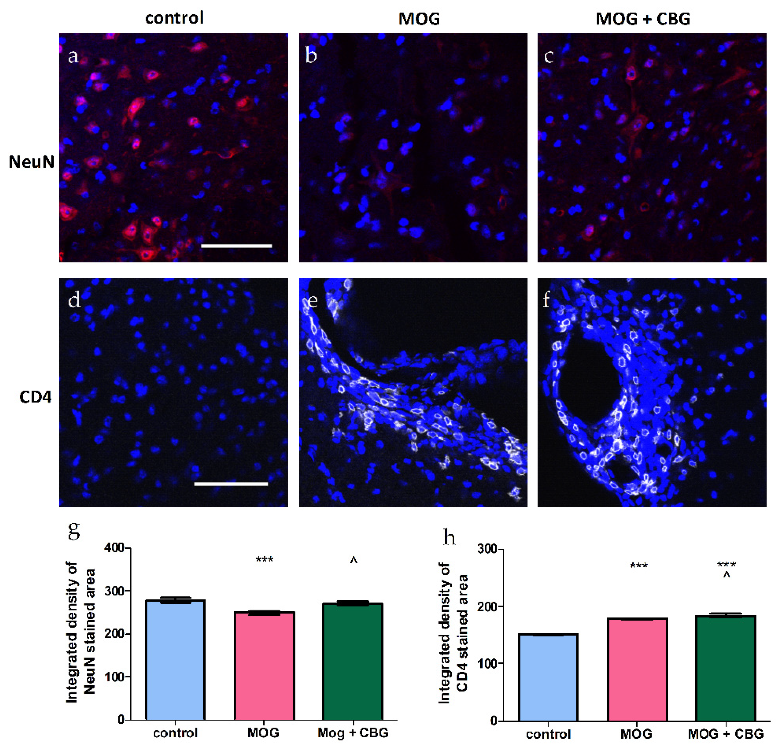 Biomolecules 13 00376 g007