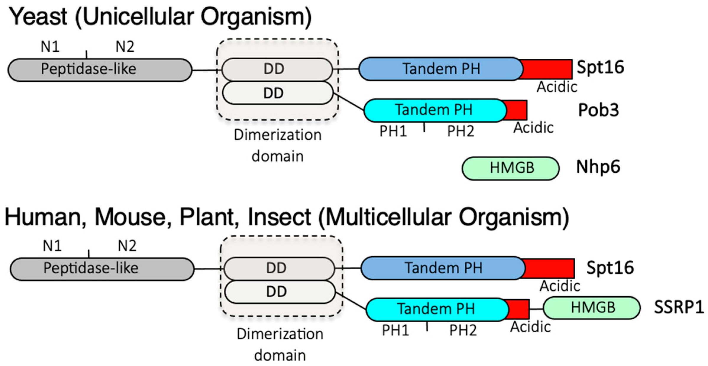 Biomolecules 13 00377 g001