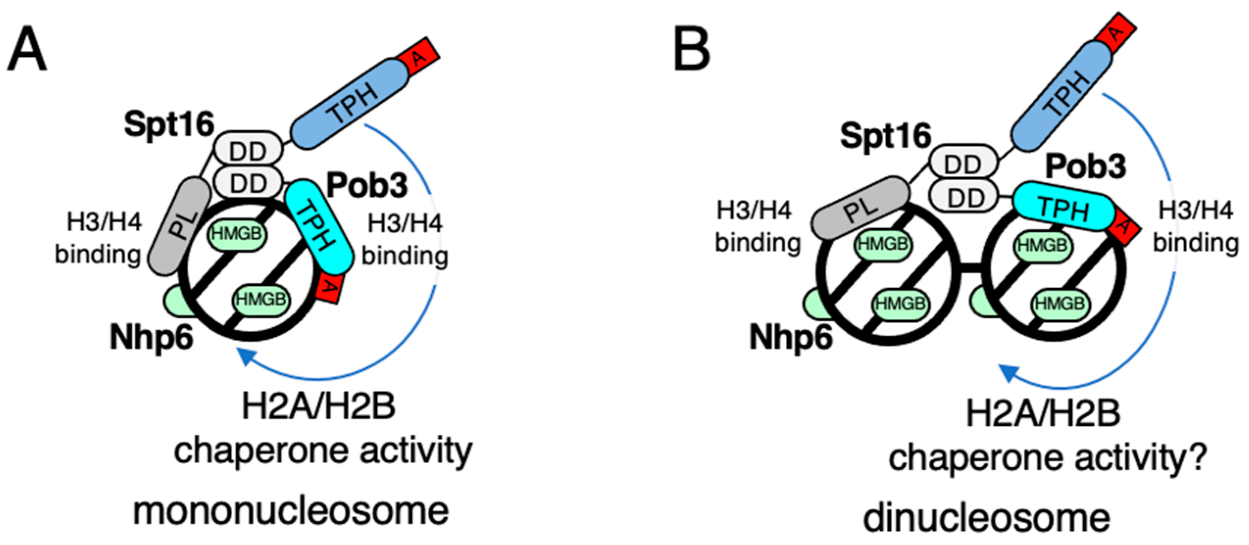 Biomolecules 13 00377 g002