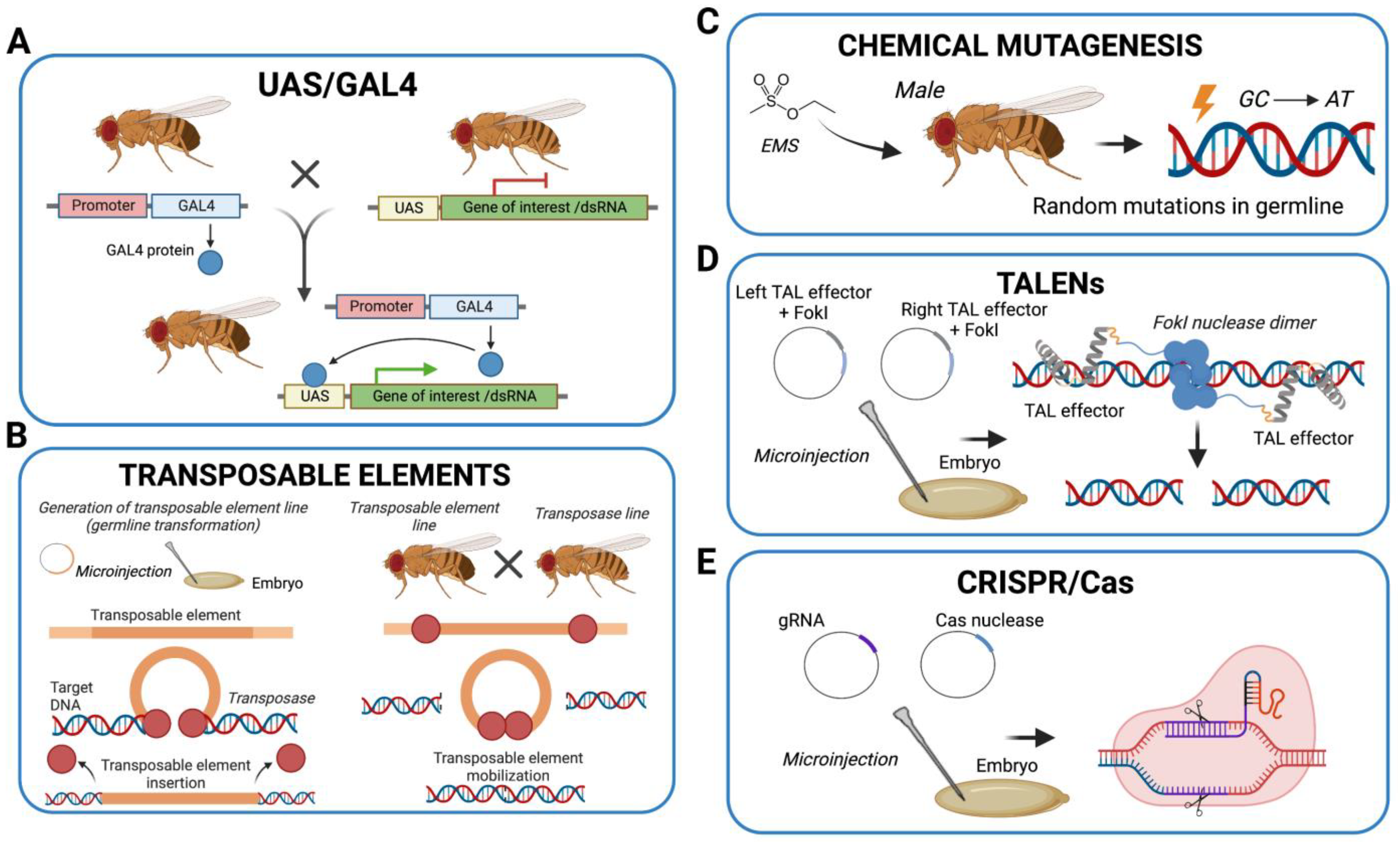 Biomolecules 13 00378 g002