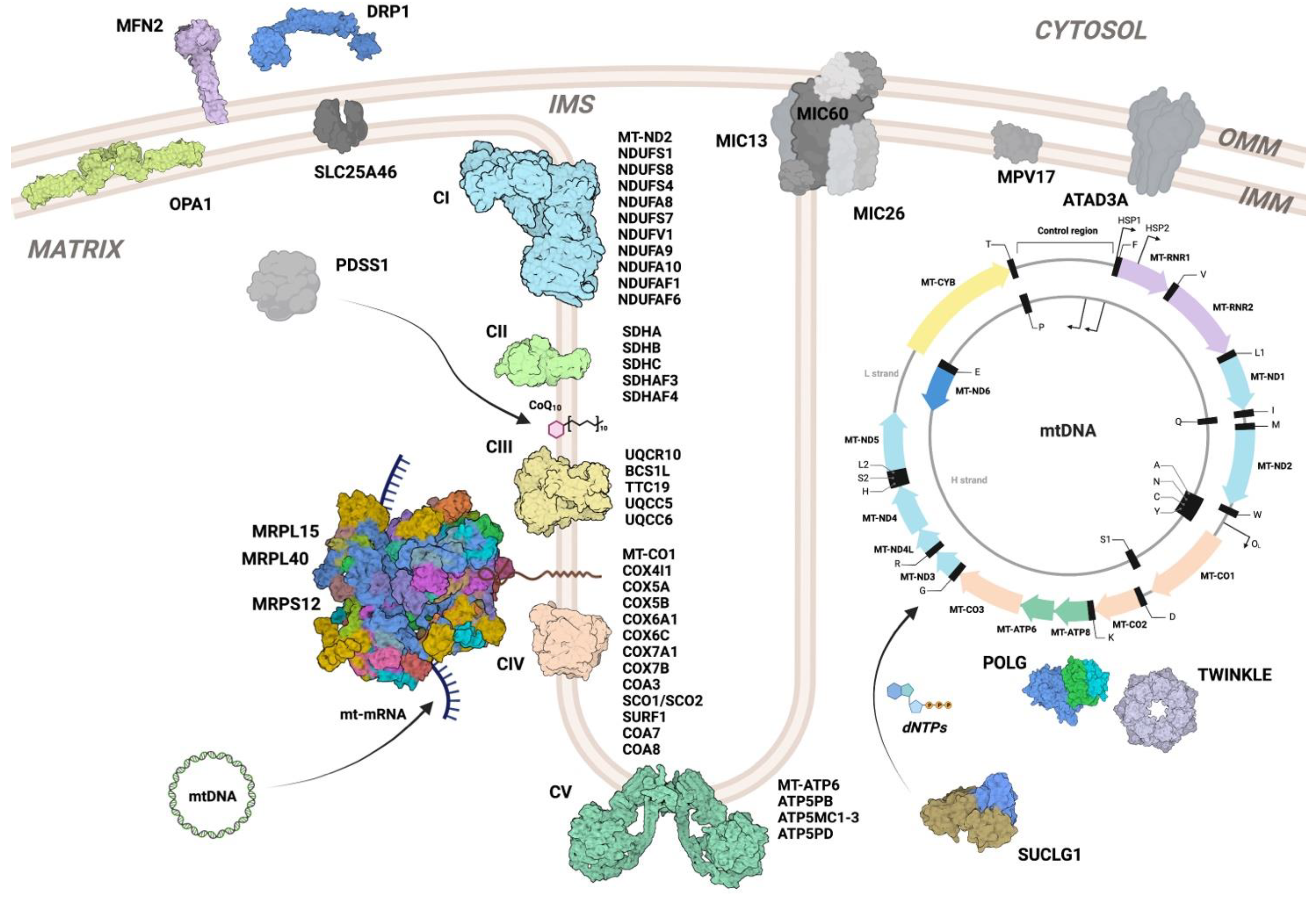 Biomolecules 13 00378 g003
