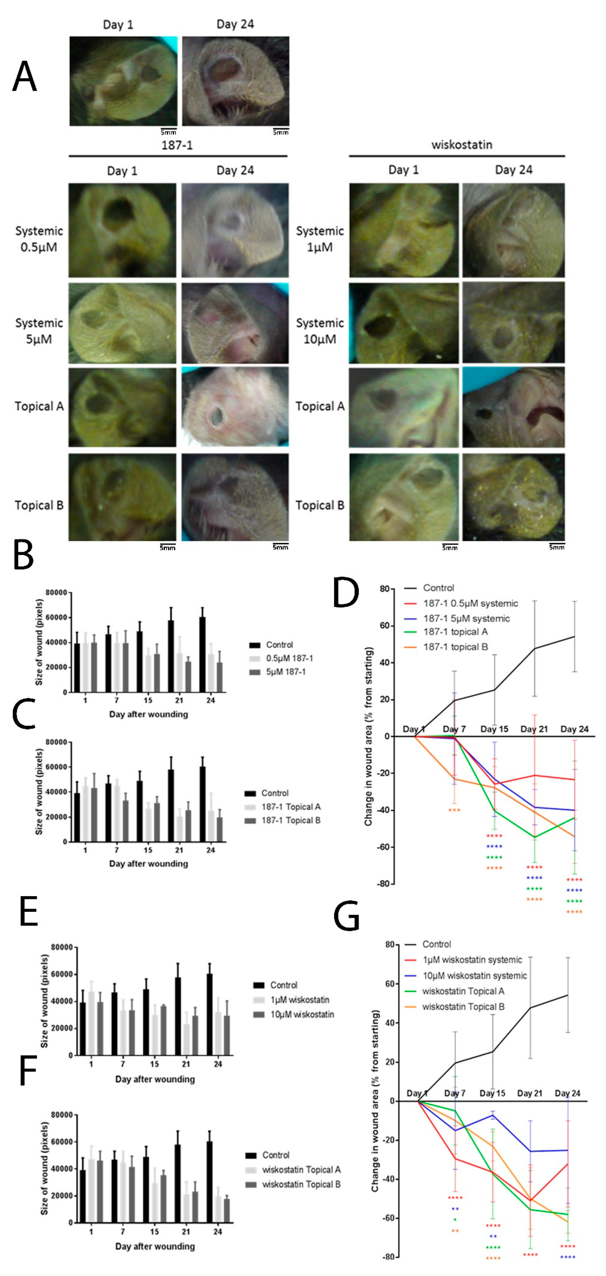 Biomolecules 13 00379 g005