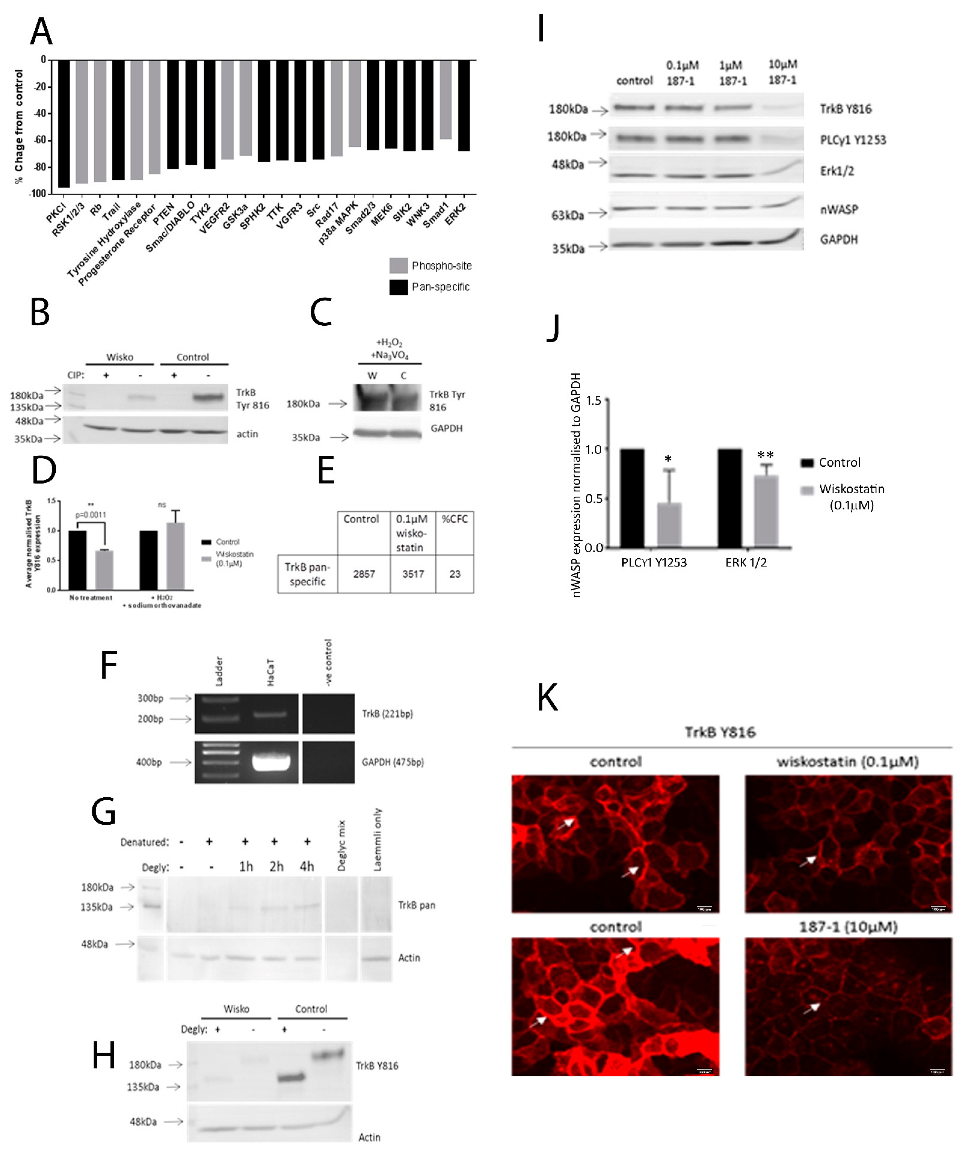 Biomolecules 13 00379 g006