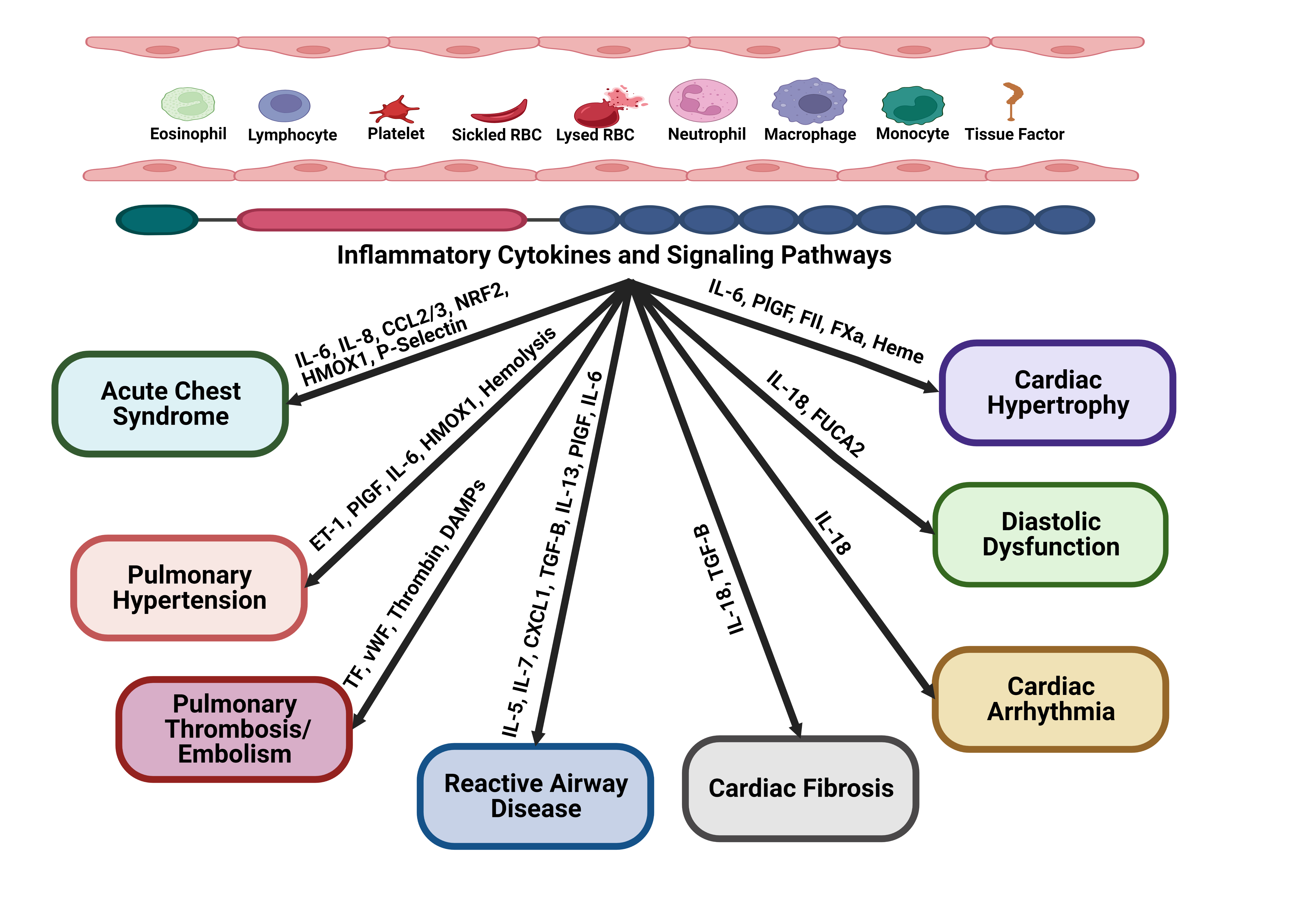 Biomolecules 13 00381 g001