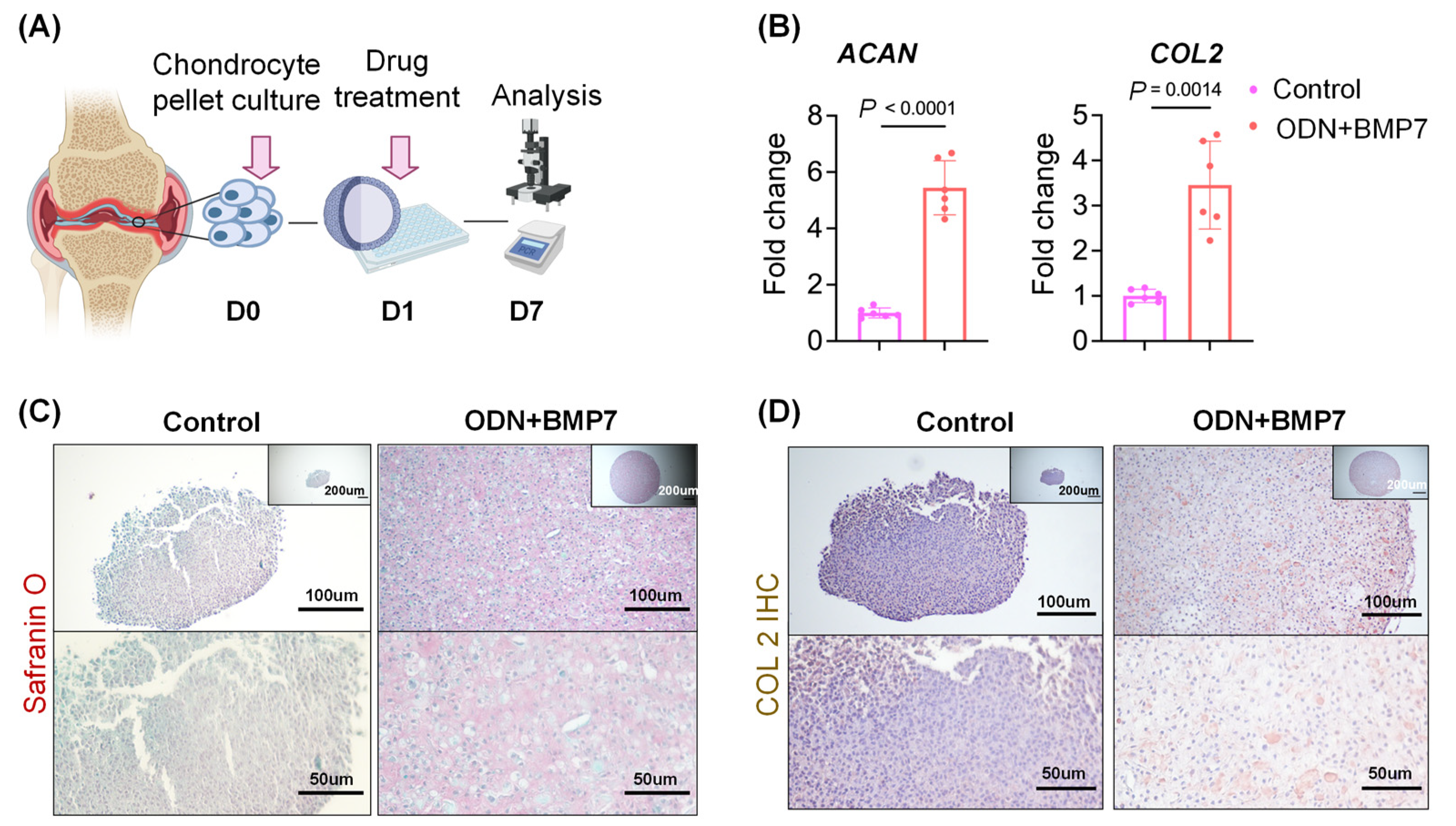 Biomolecules 13 00384 g005