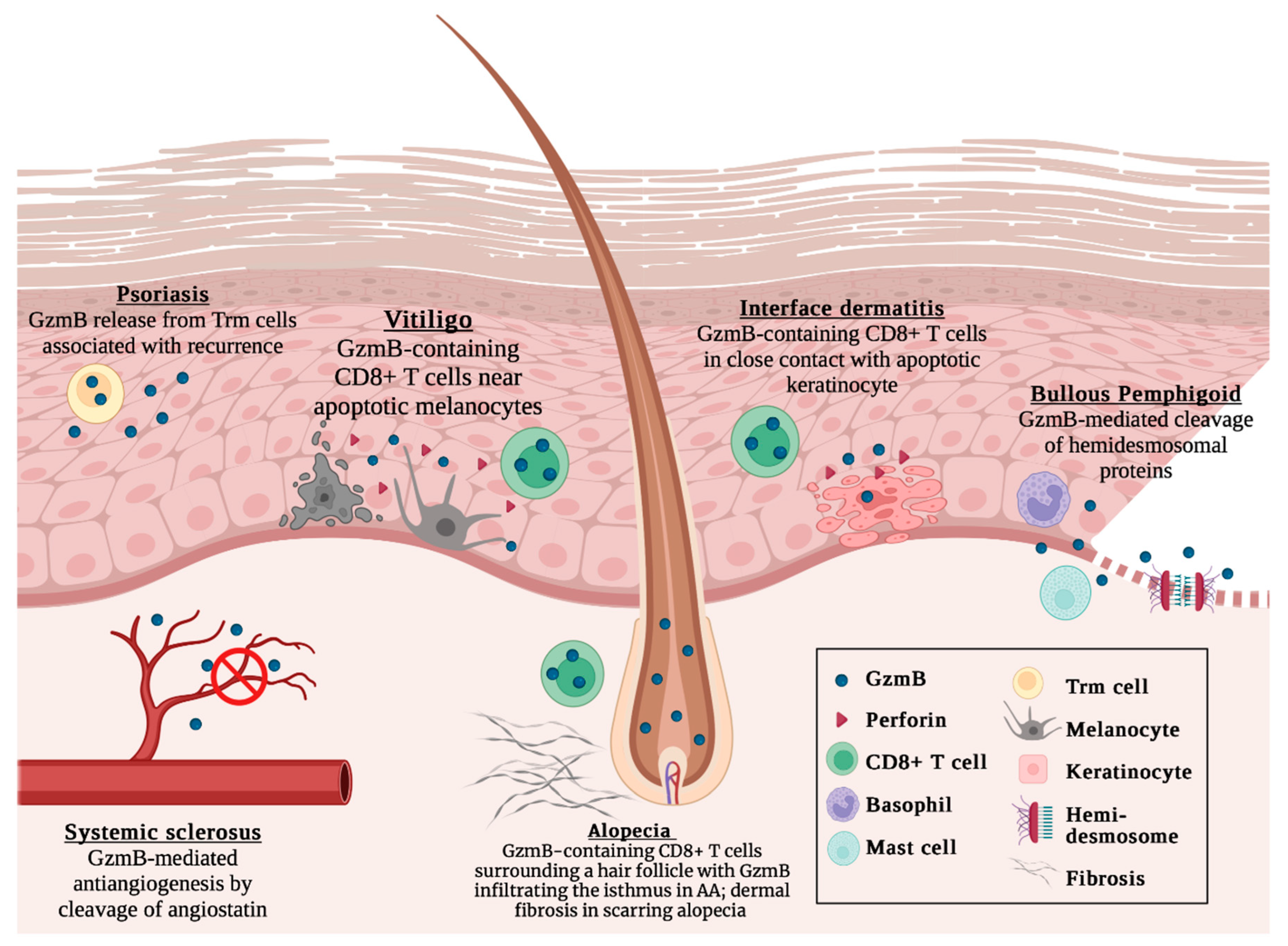 Biomolecules 13 00388 g001