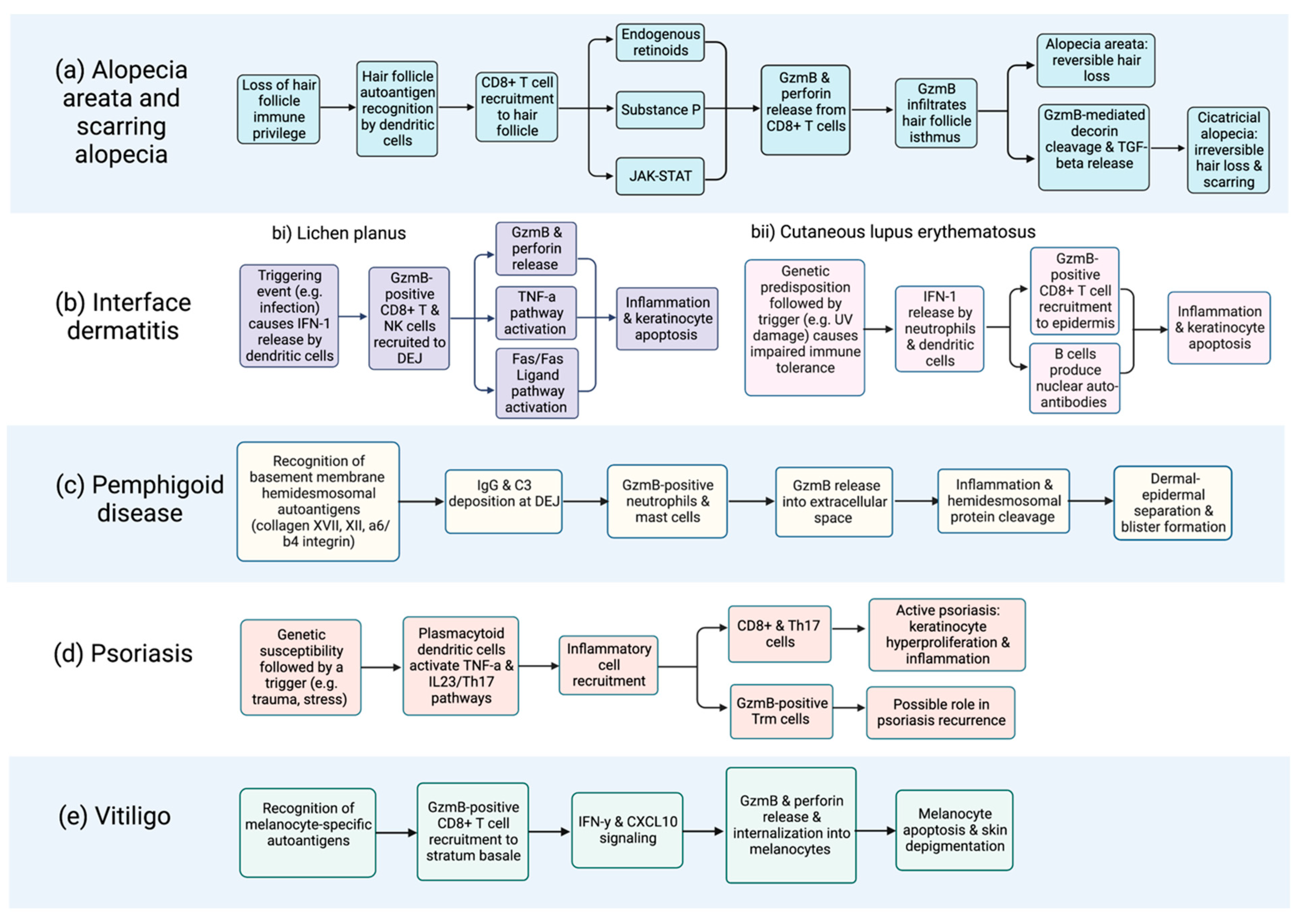 Biomolecules 13 00388 g002