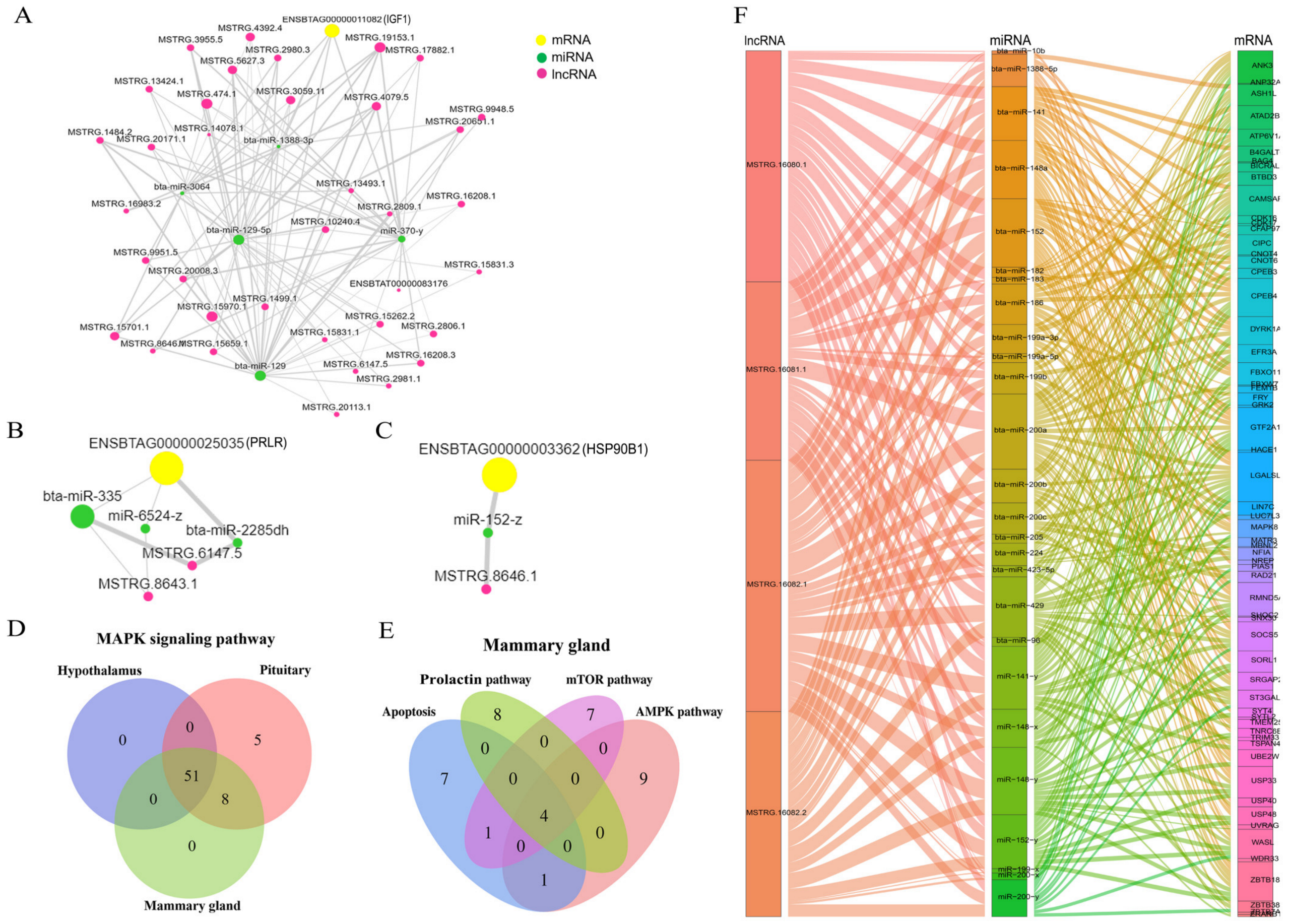 Biomolecules 13 00390 g008