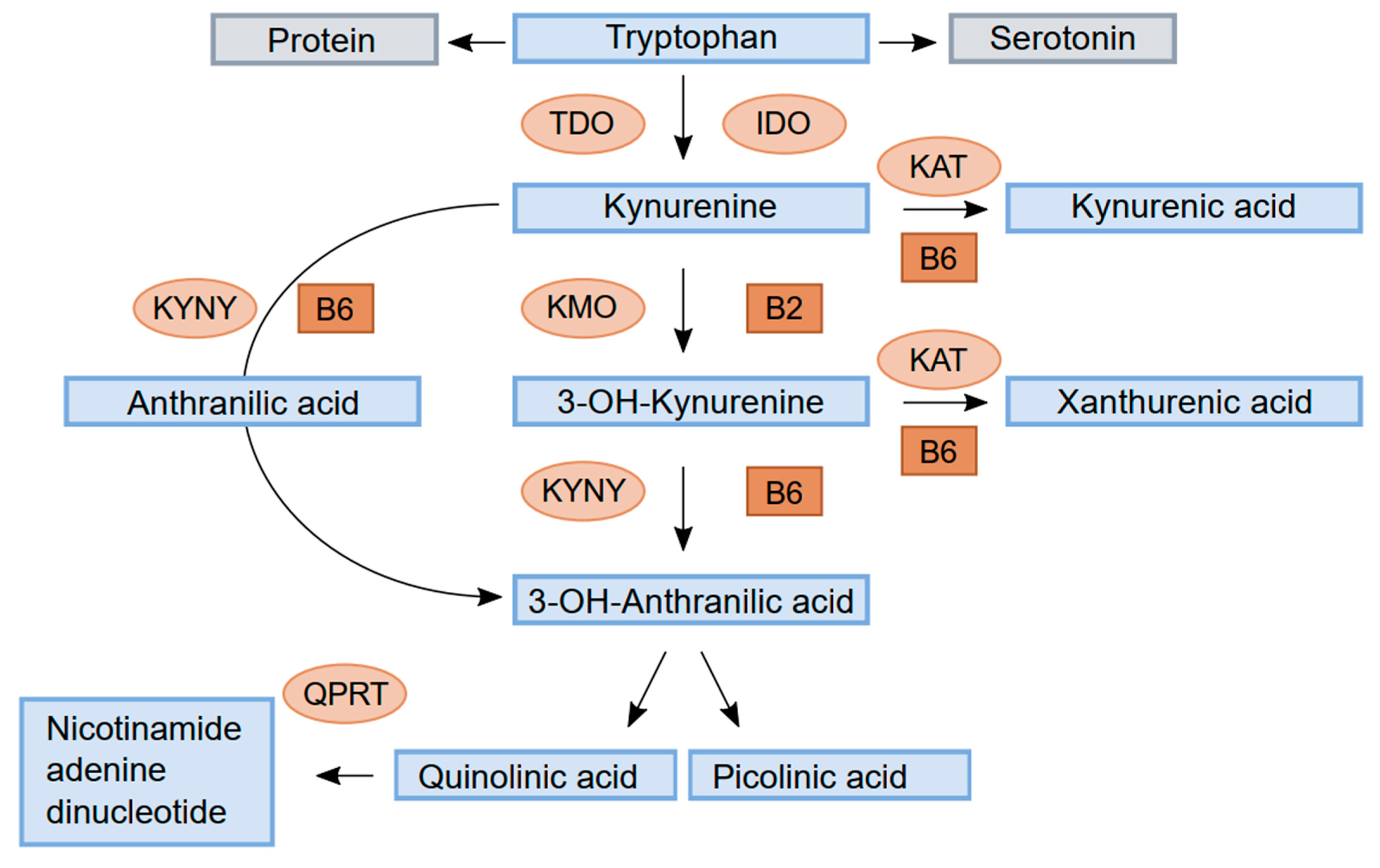 Biomolecules 13 00391 g001