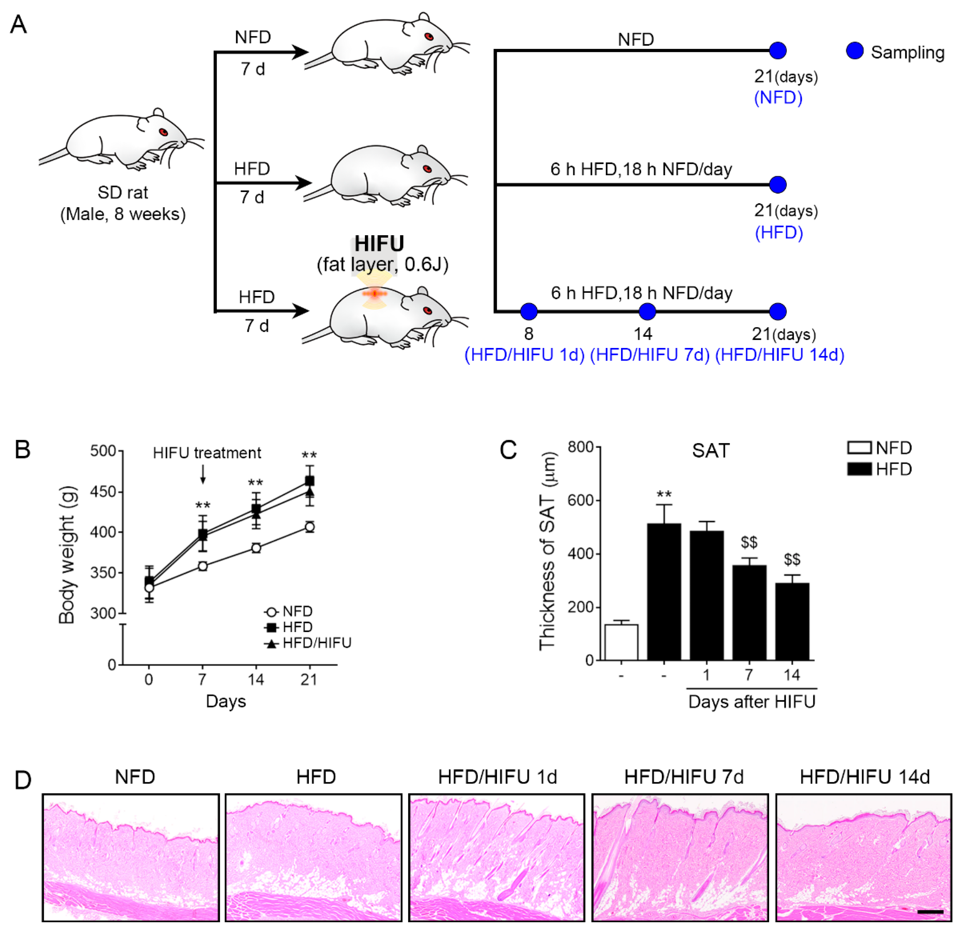 Biomolecules 13 00392 g001