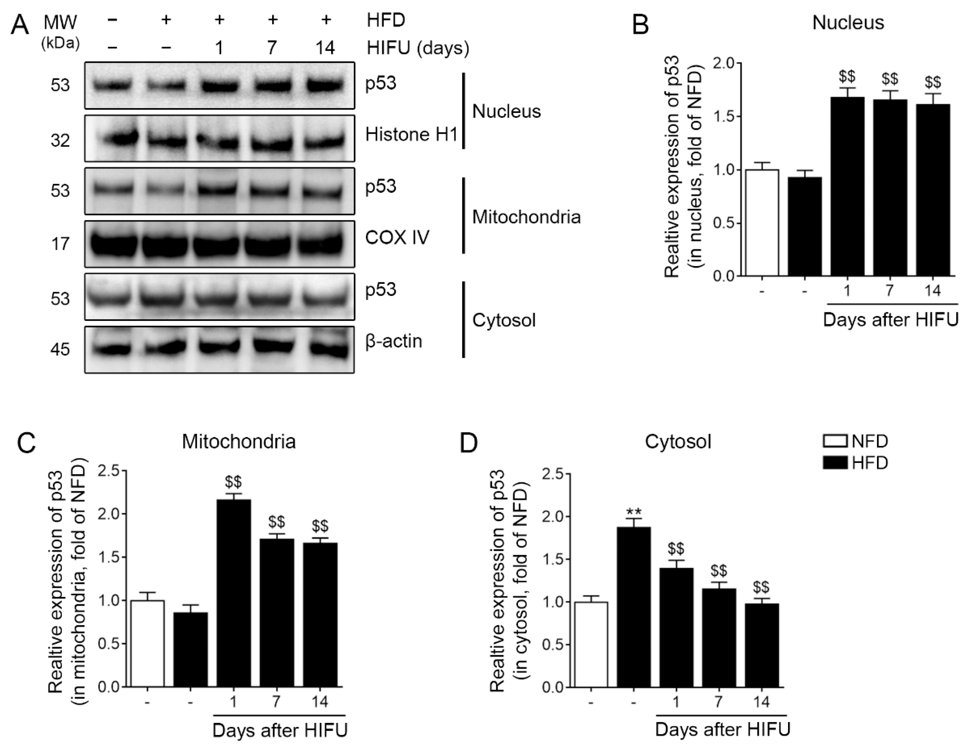 Biomolecules 13 00392 g002