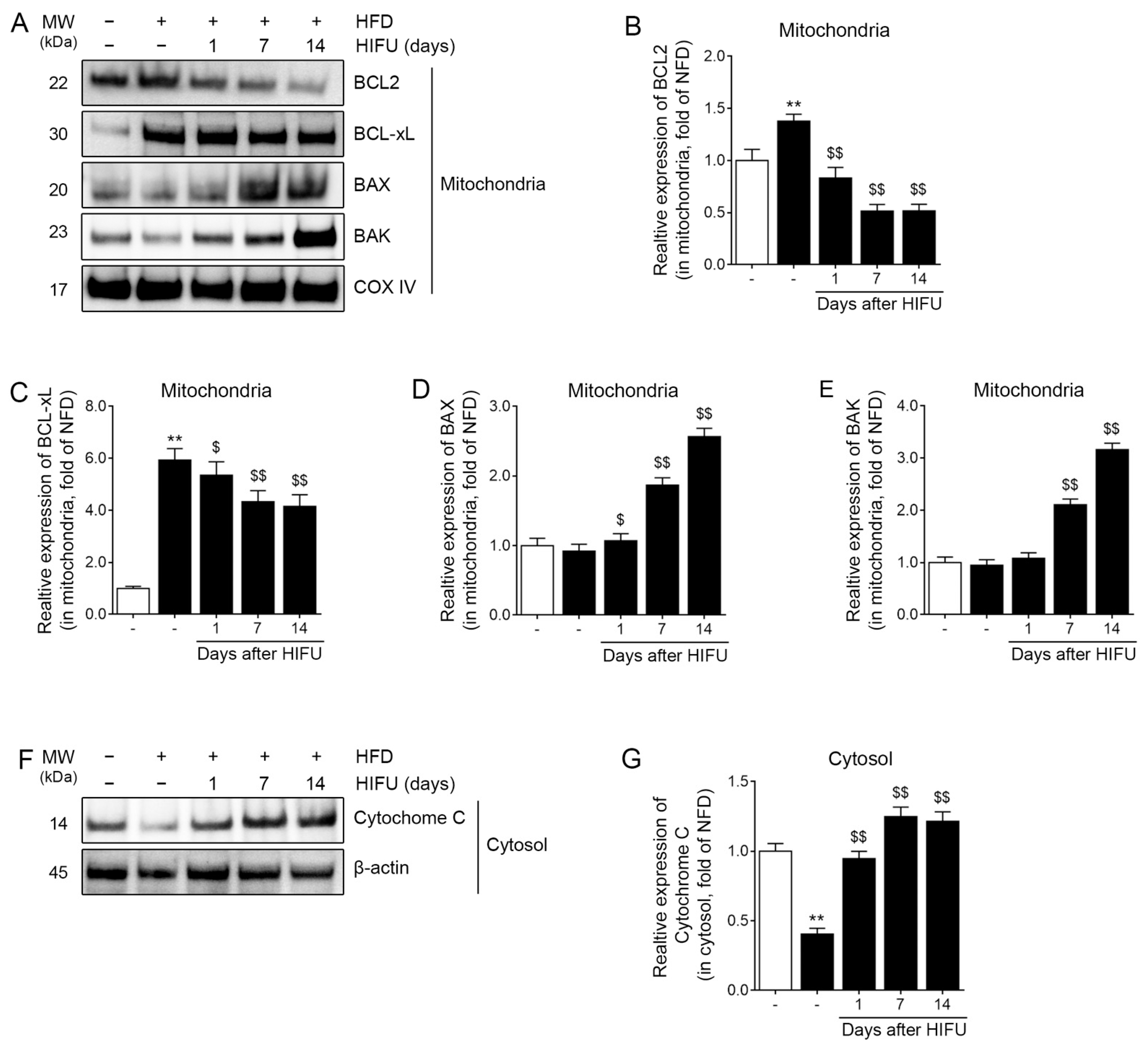 Biomolecules 13 00392 g003