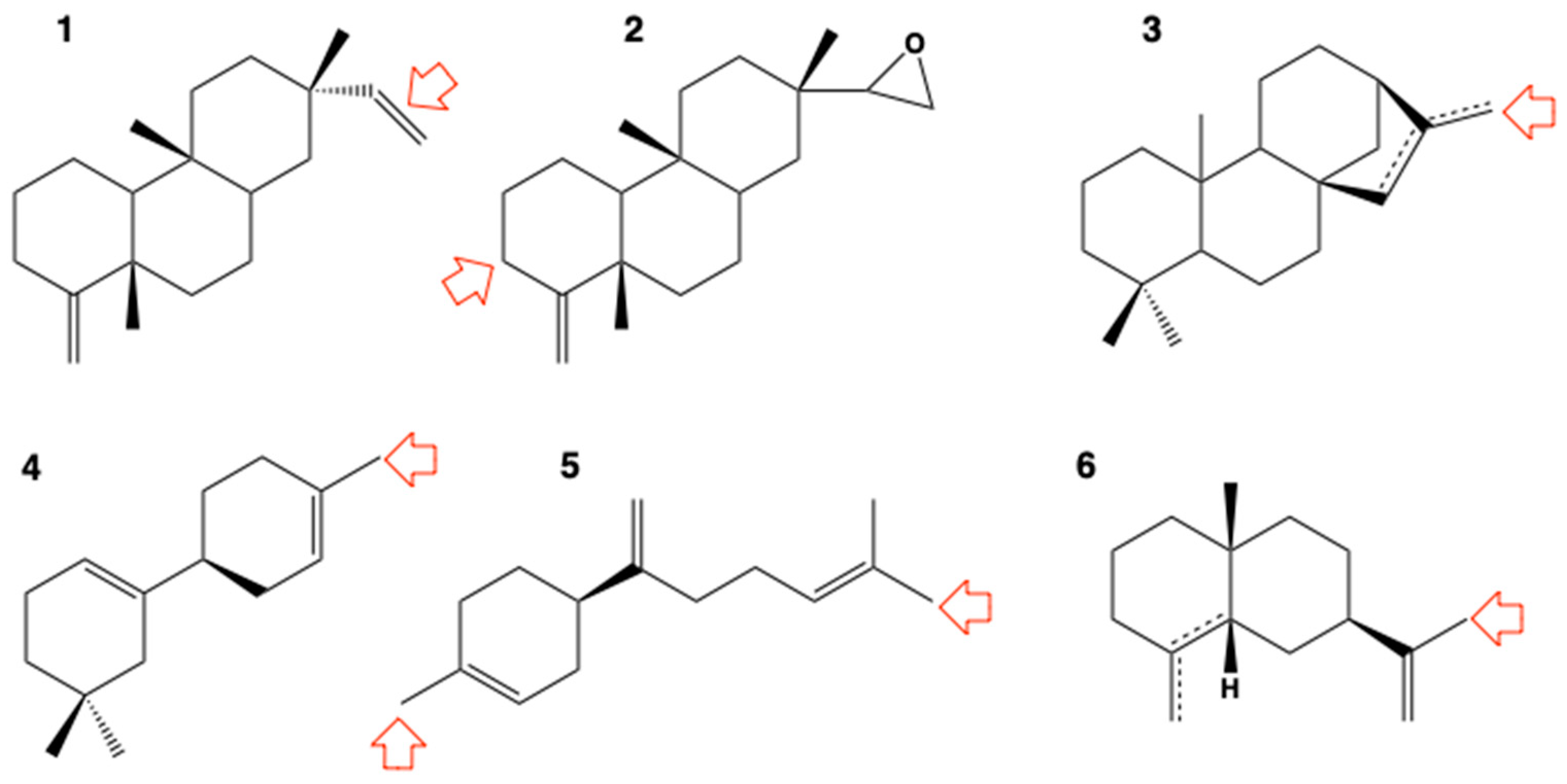 Biomolecules 13 00394 g003
