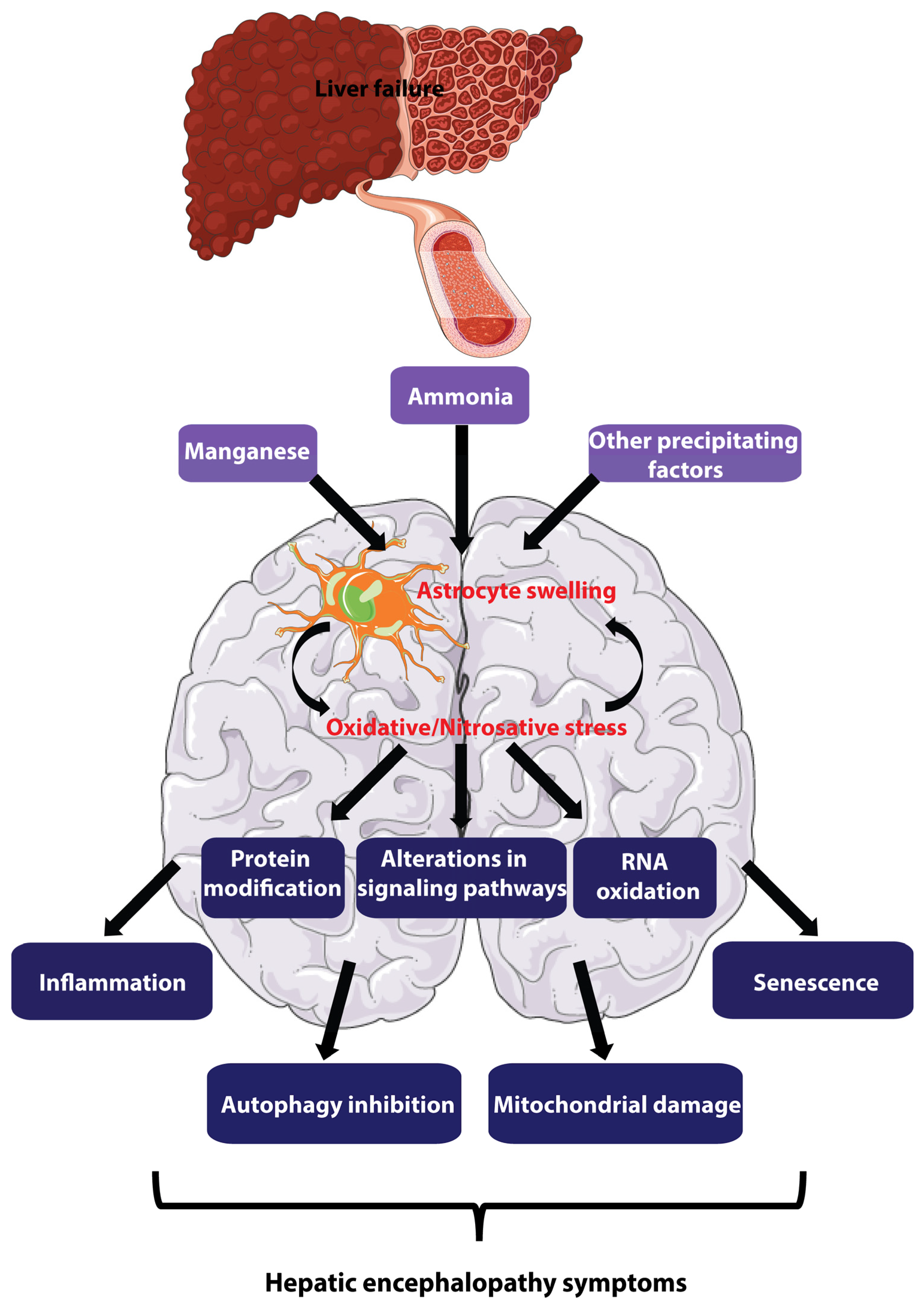 Biomolecules 13 00396 g001