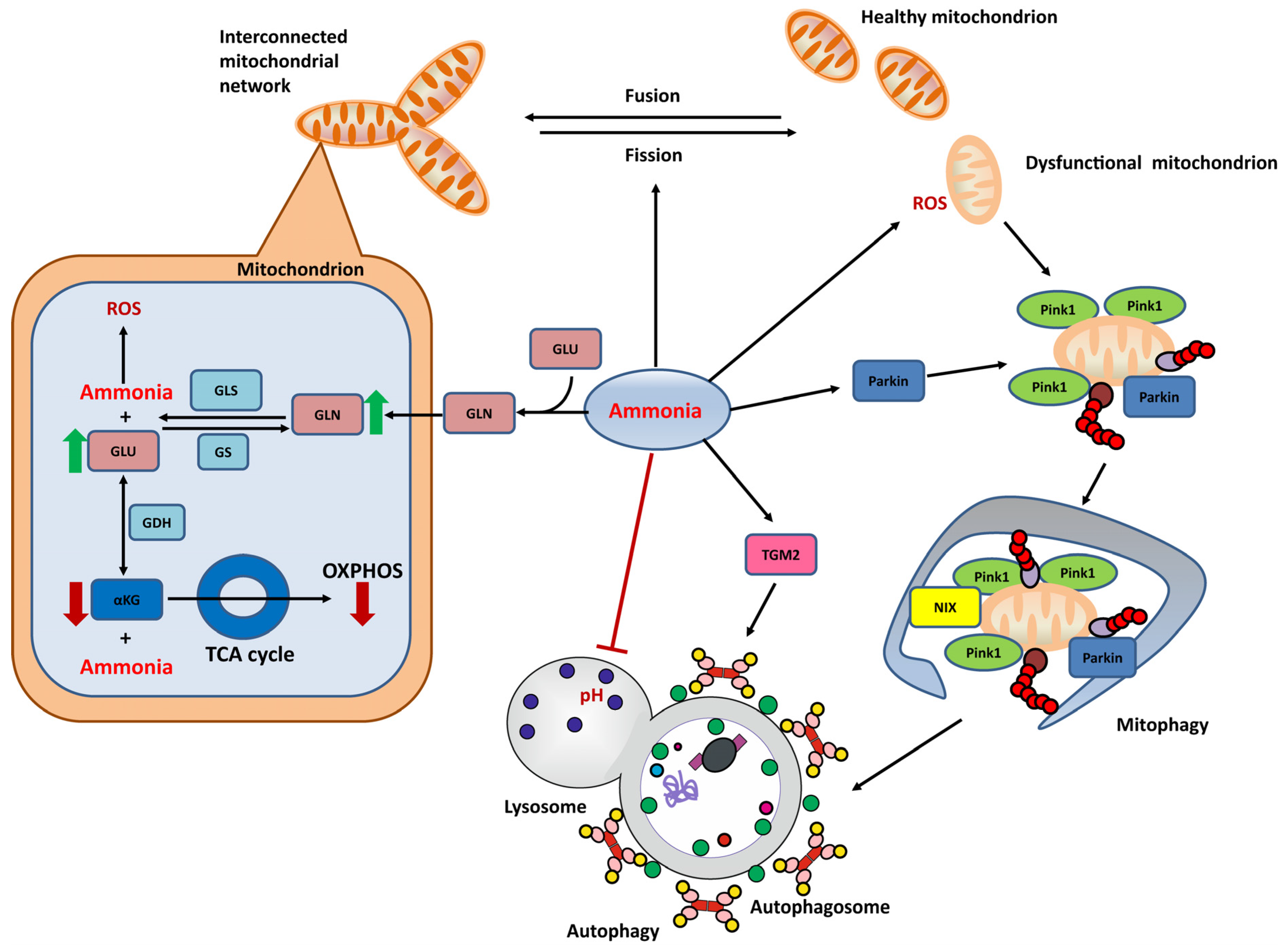 Biomolecules 13 00396 g002