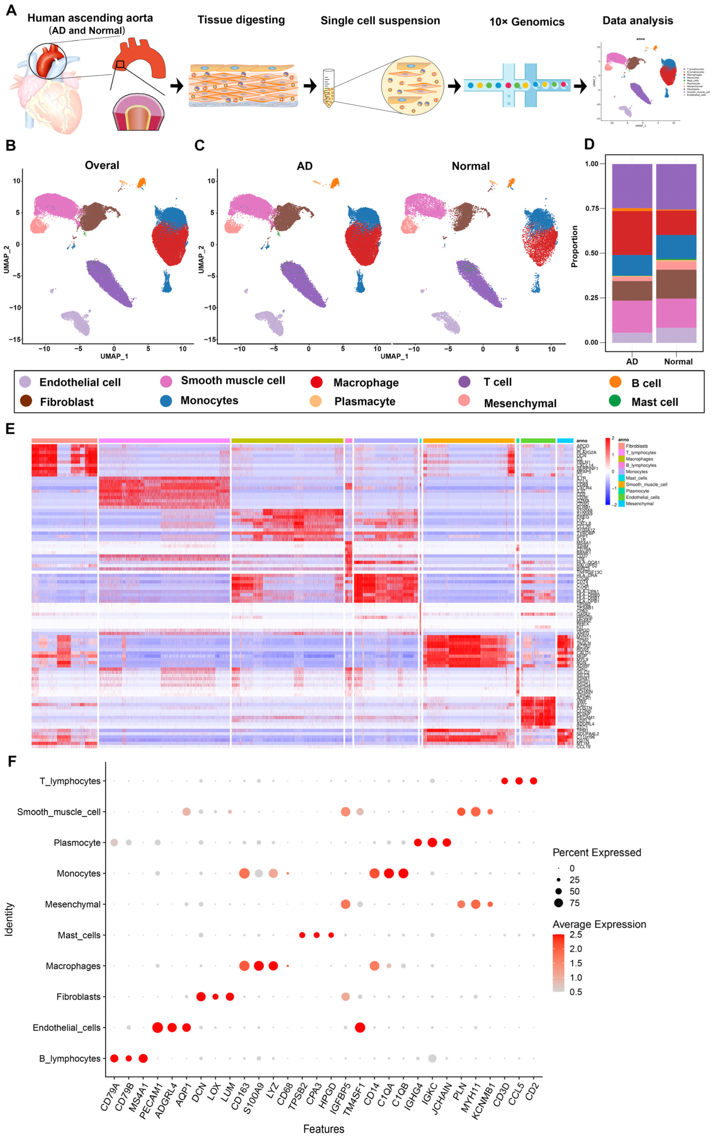 Biomolecules 13 00399 g001