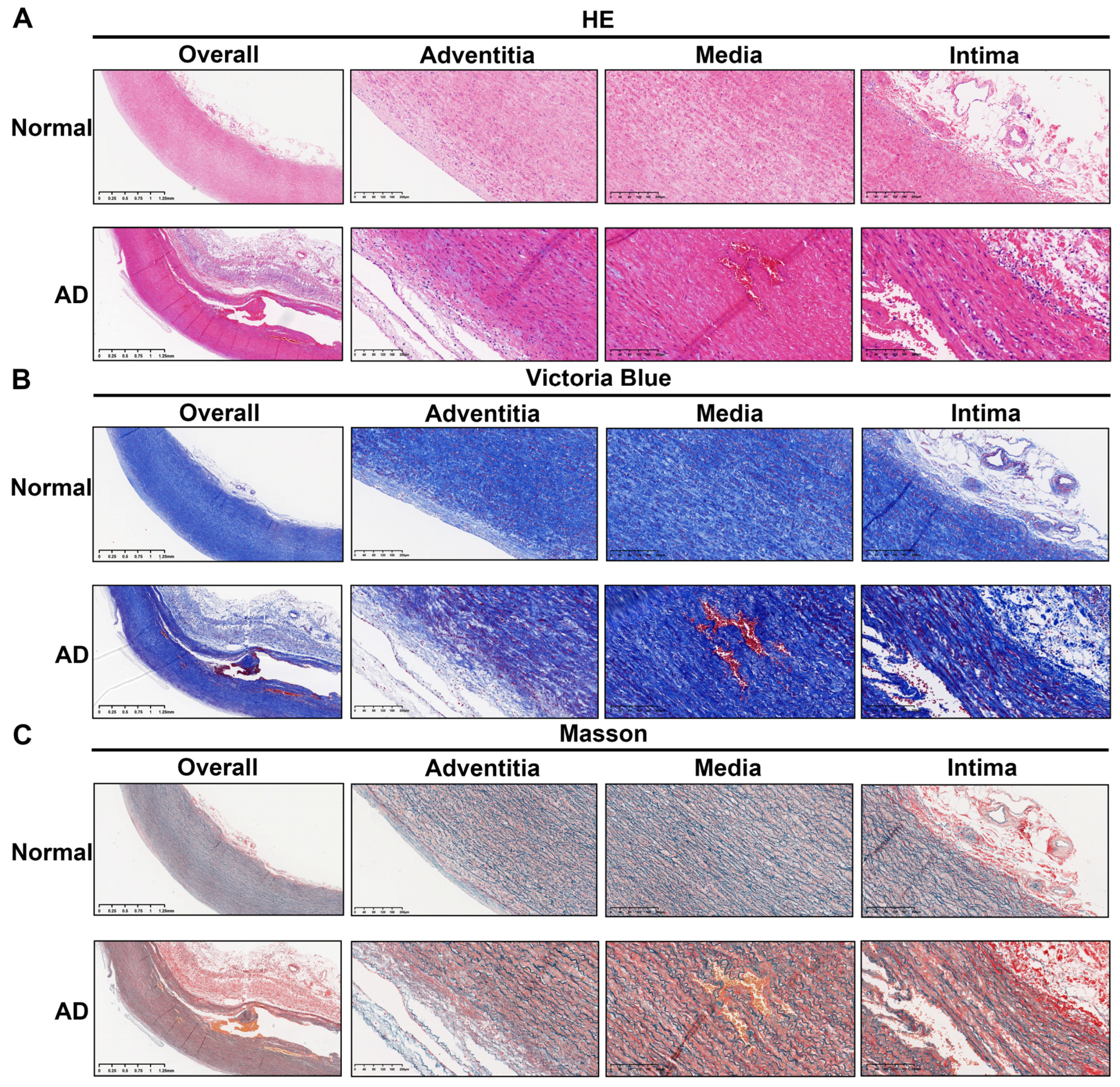Biomolecules 13 00399 g006
