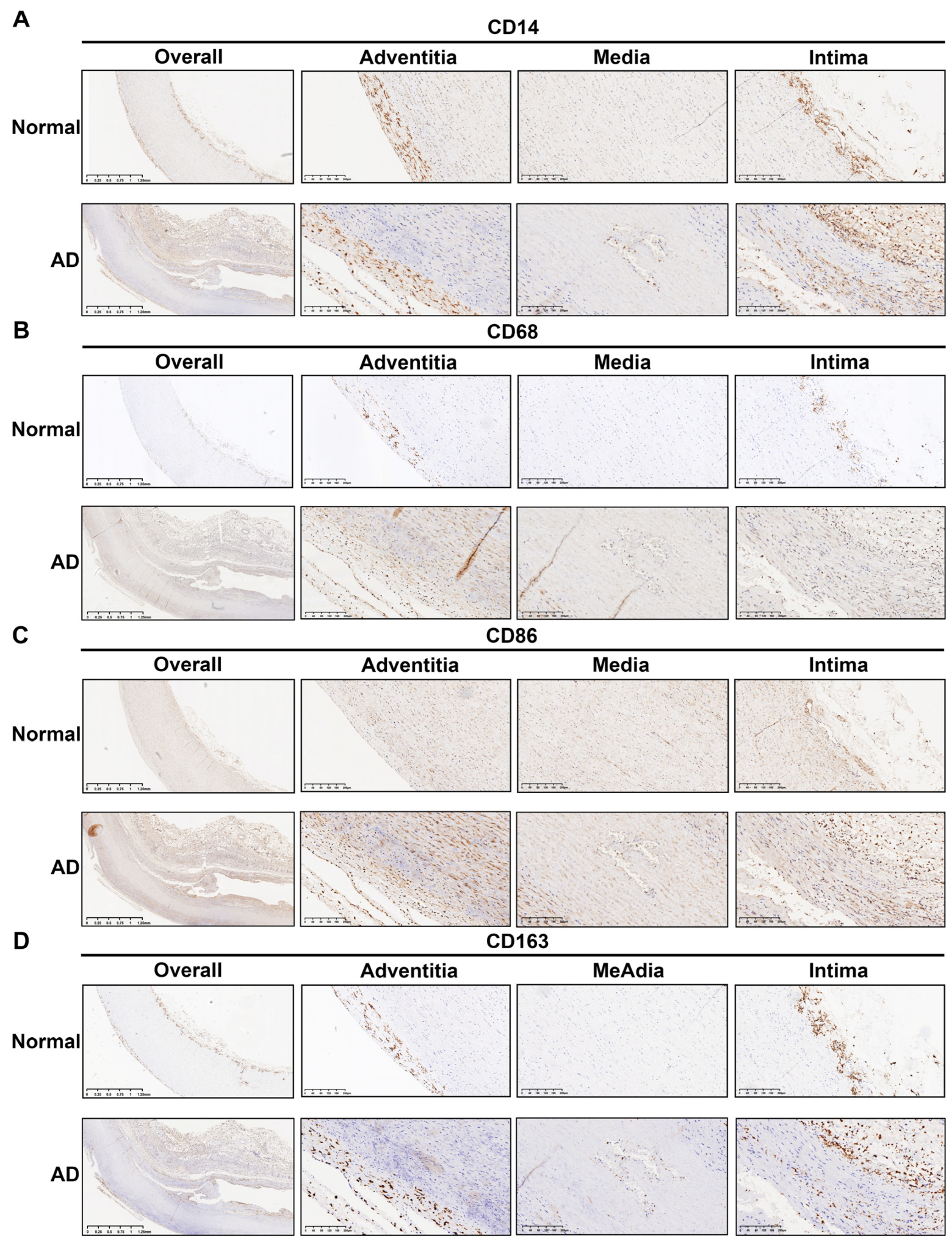 Biomolecules 13 00399 g007