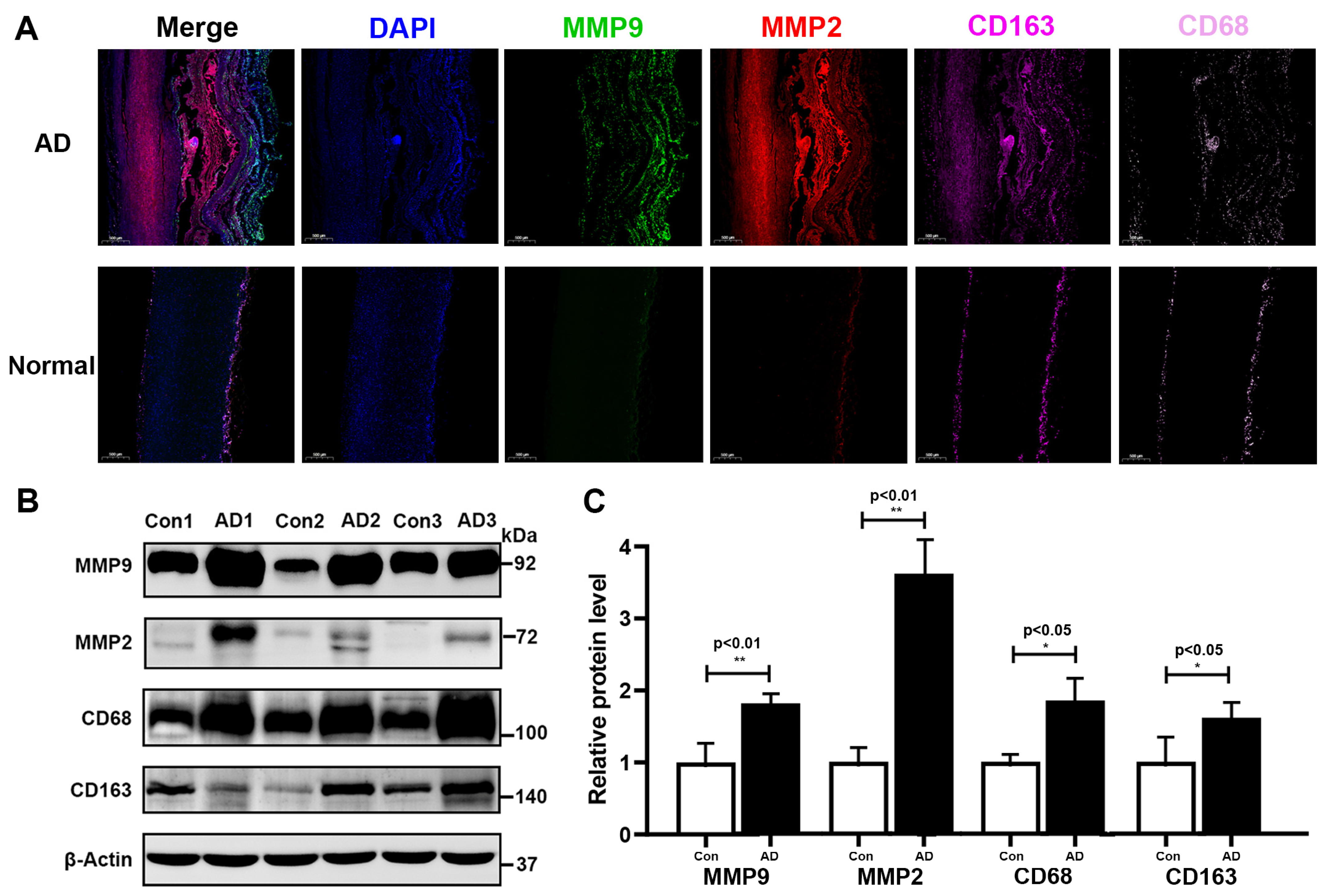 Biomolecules 13 00399 g008