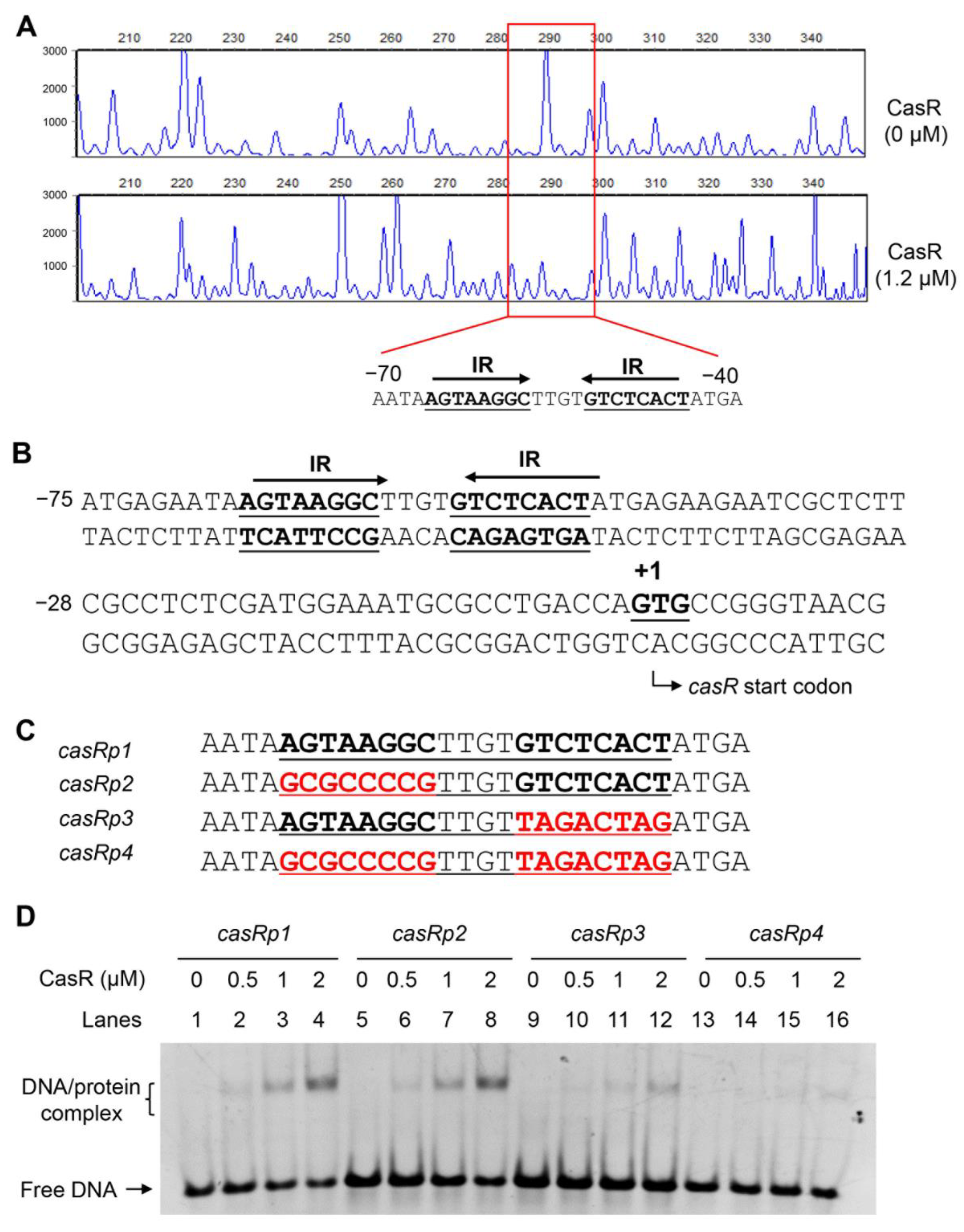 Biomolecules 13 00400 g004 Biomolecules 13 00400 g004