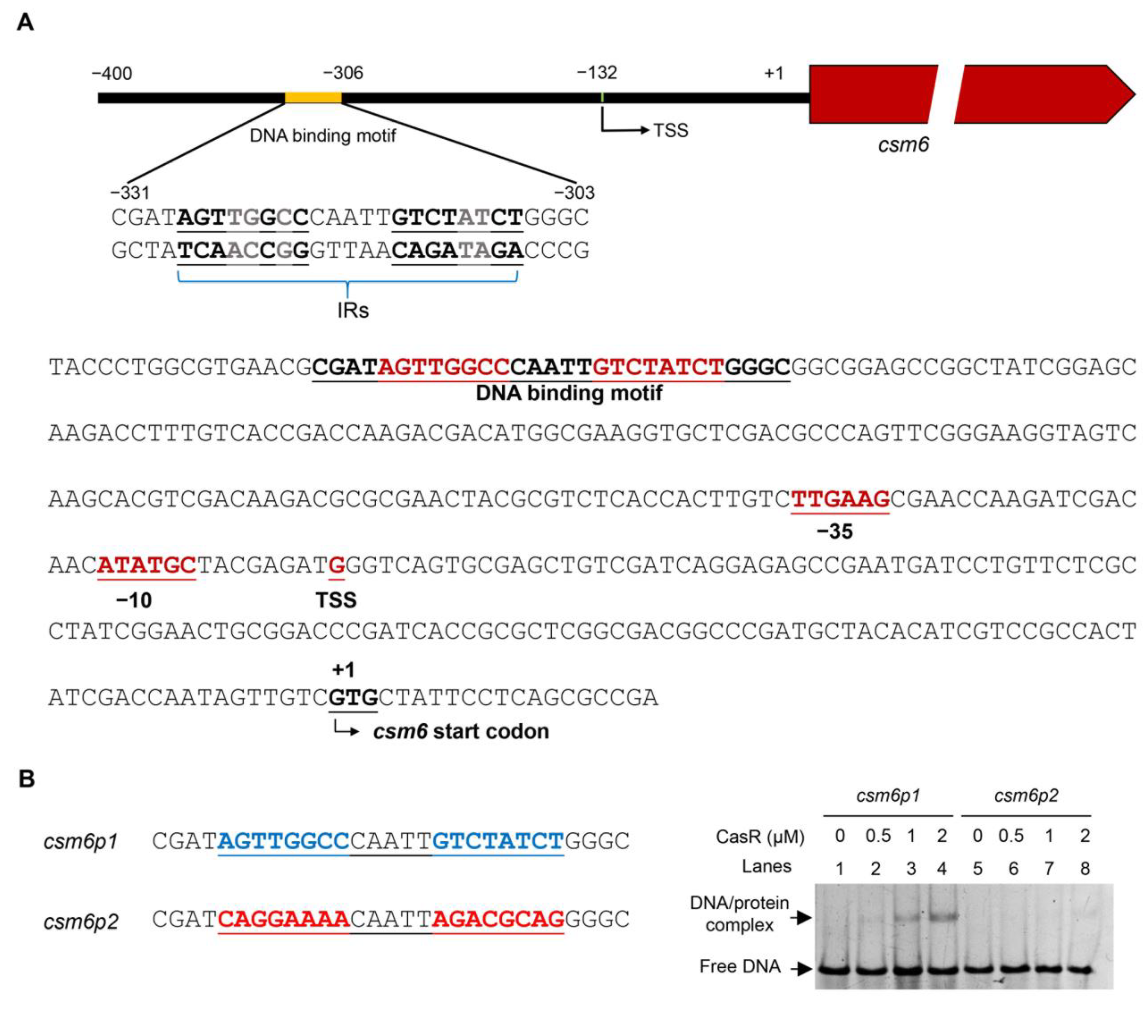 Biomolecules 13 00400 g005 Biomolecules 13 00400 g005