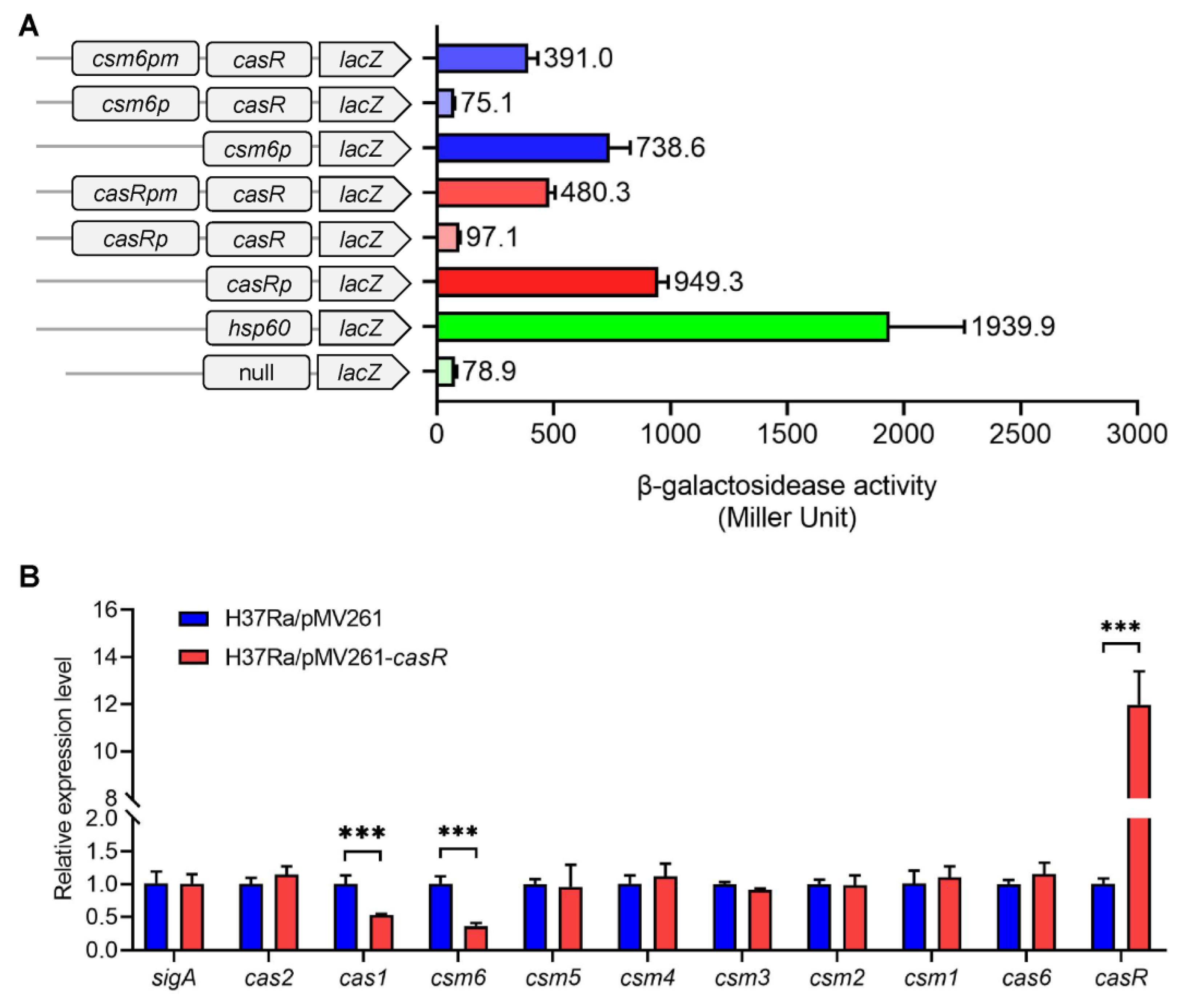 Biomolecules 13 00400 g006 Biomolecules 13 00400 g006