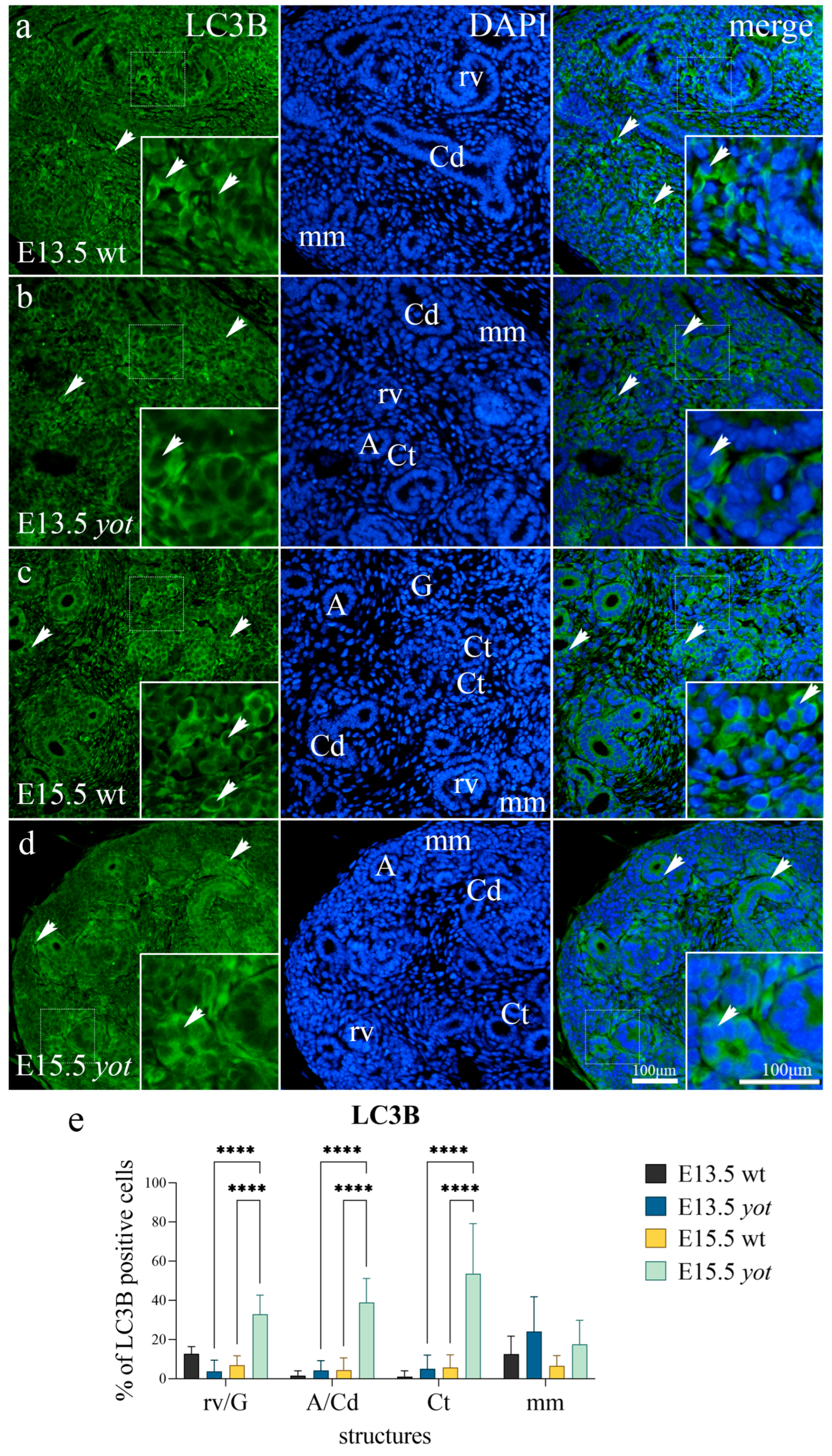 Biomolecules 13 00402 g001