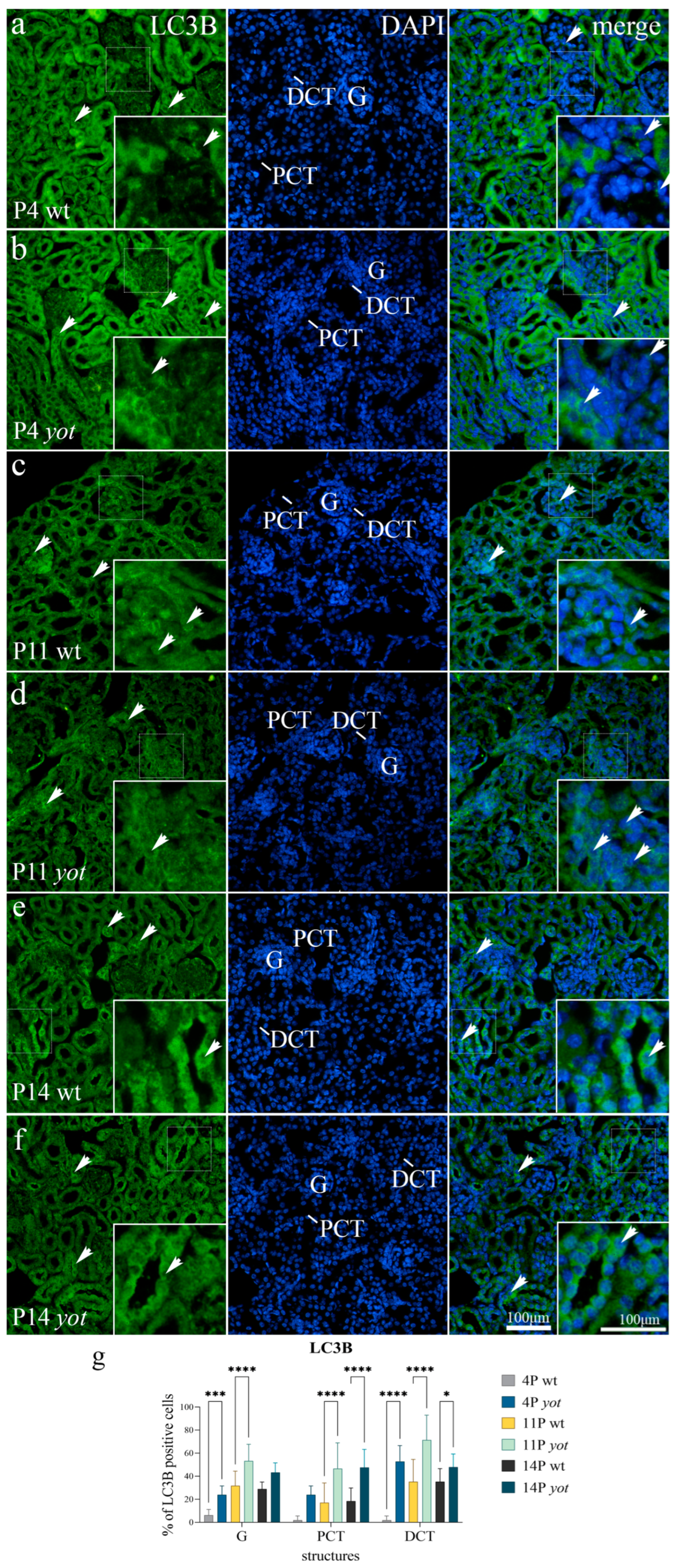 Biomolecules 13 00402 g002