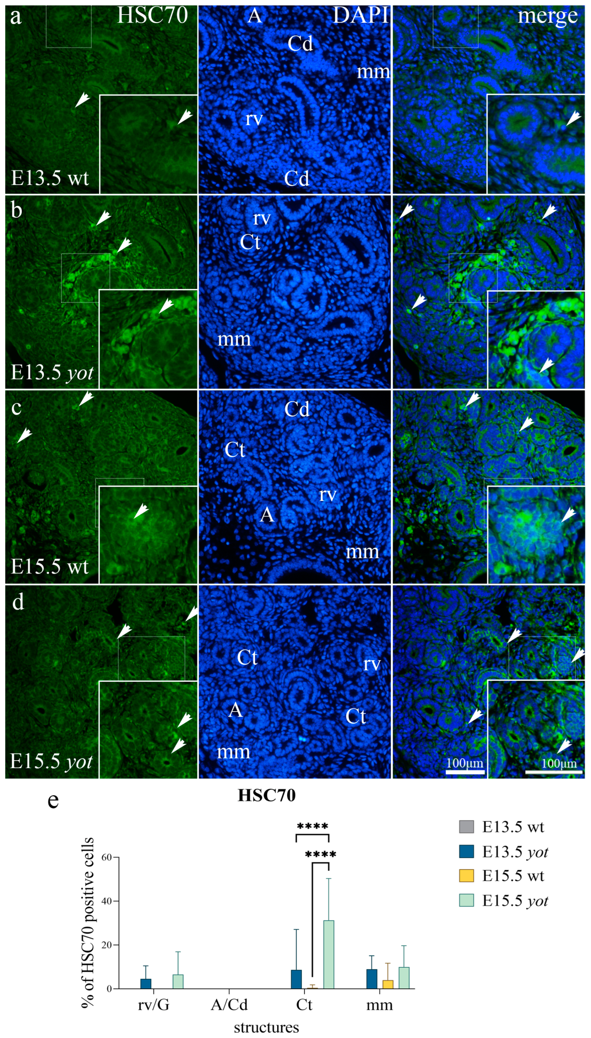 Biomolecules 13 00402 g005