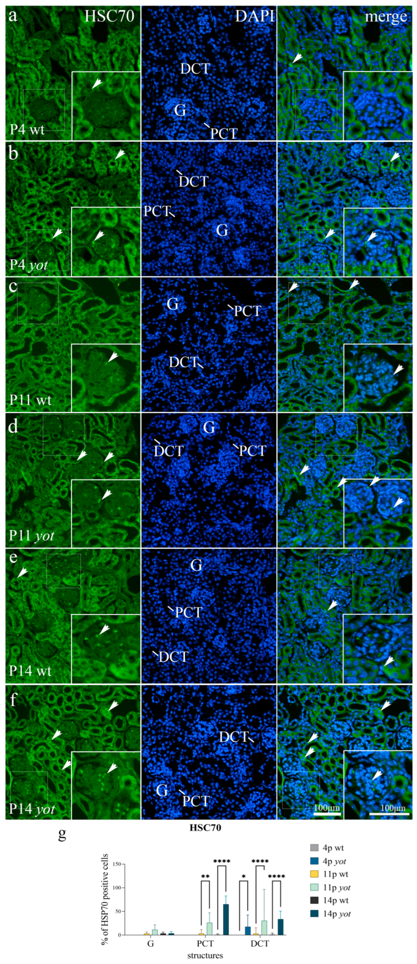 Biomolecules 13 00402 g006
