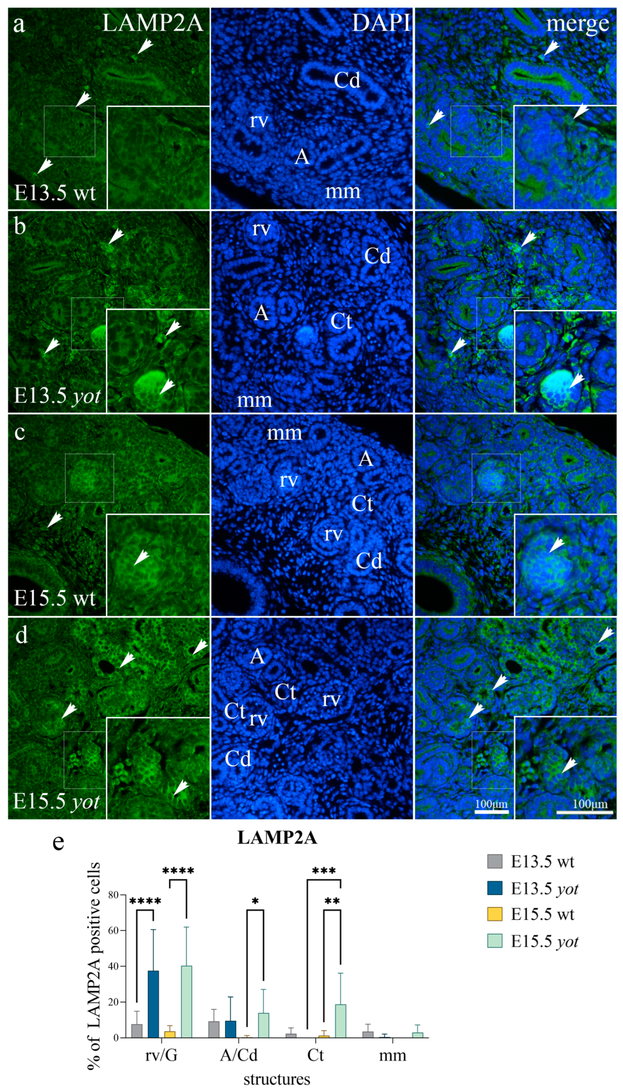 Biomolecules 13 00402 g007