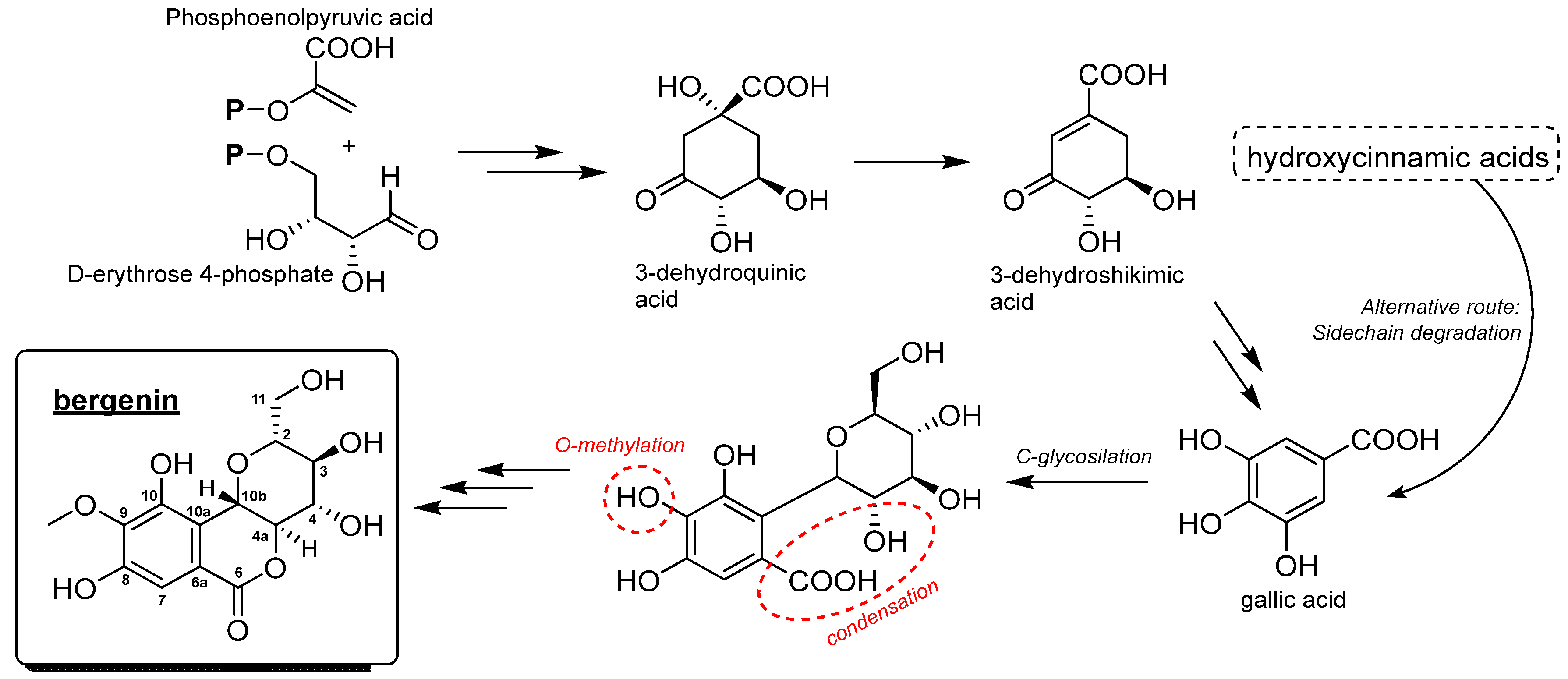Biomolecules 13 00403 g001