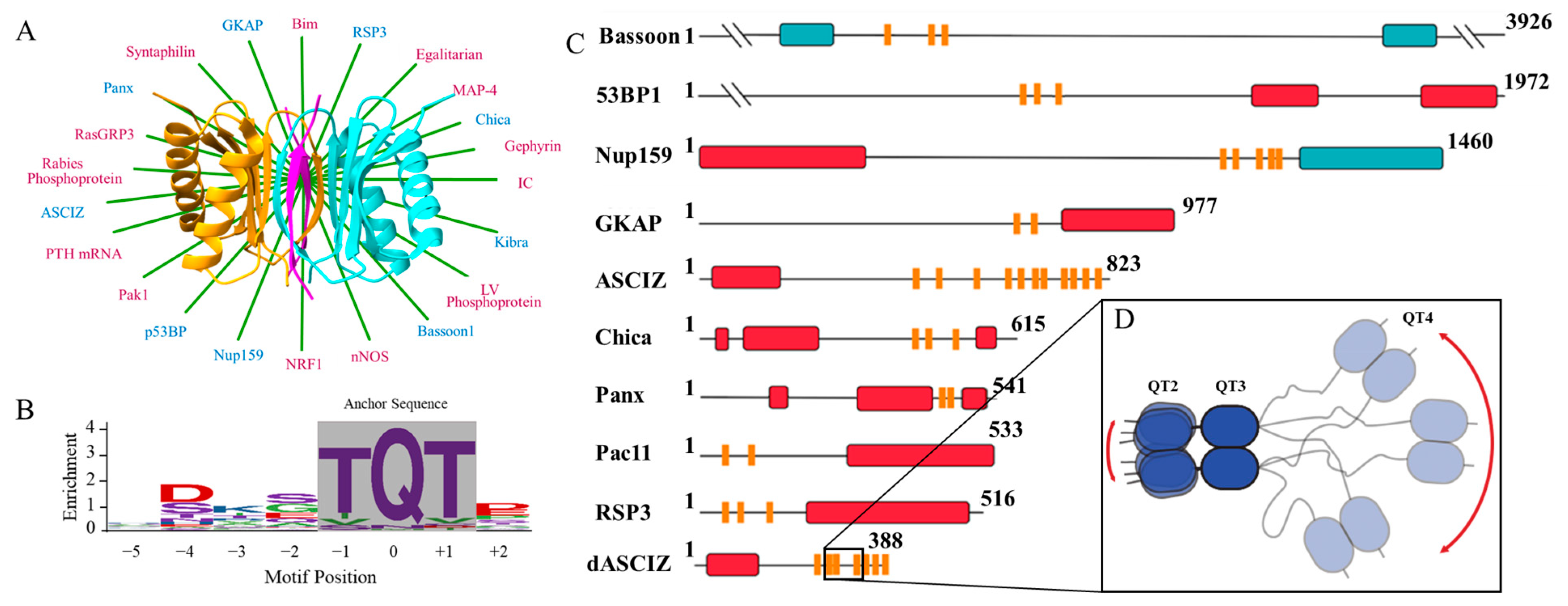 Biomolecules 13 00404 g001