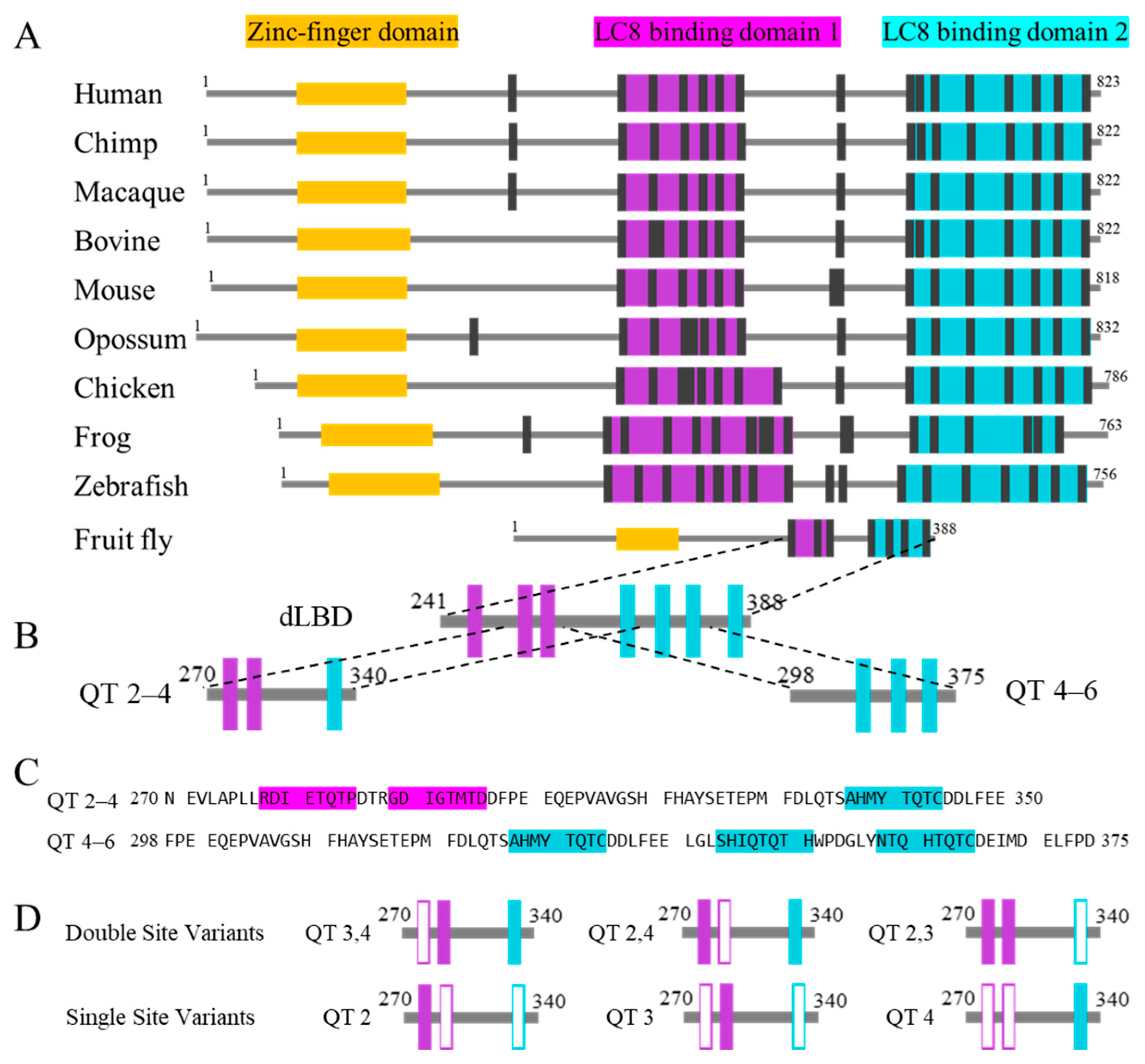 Biomolecules 13 00404 g002