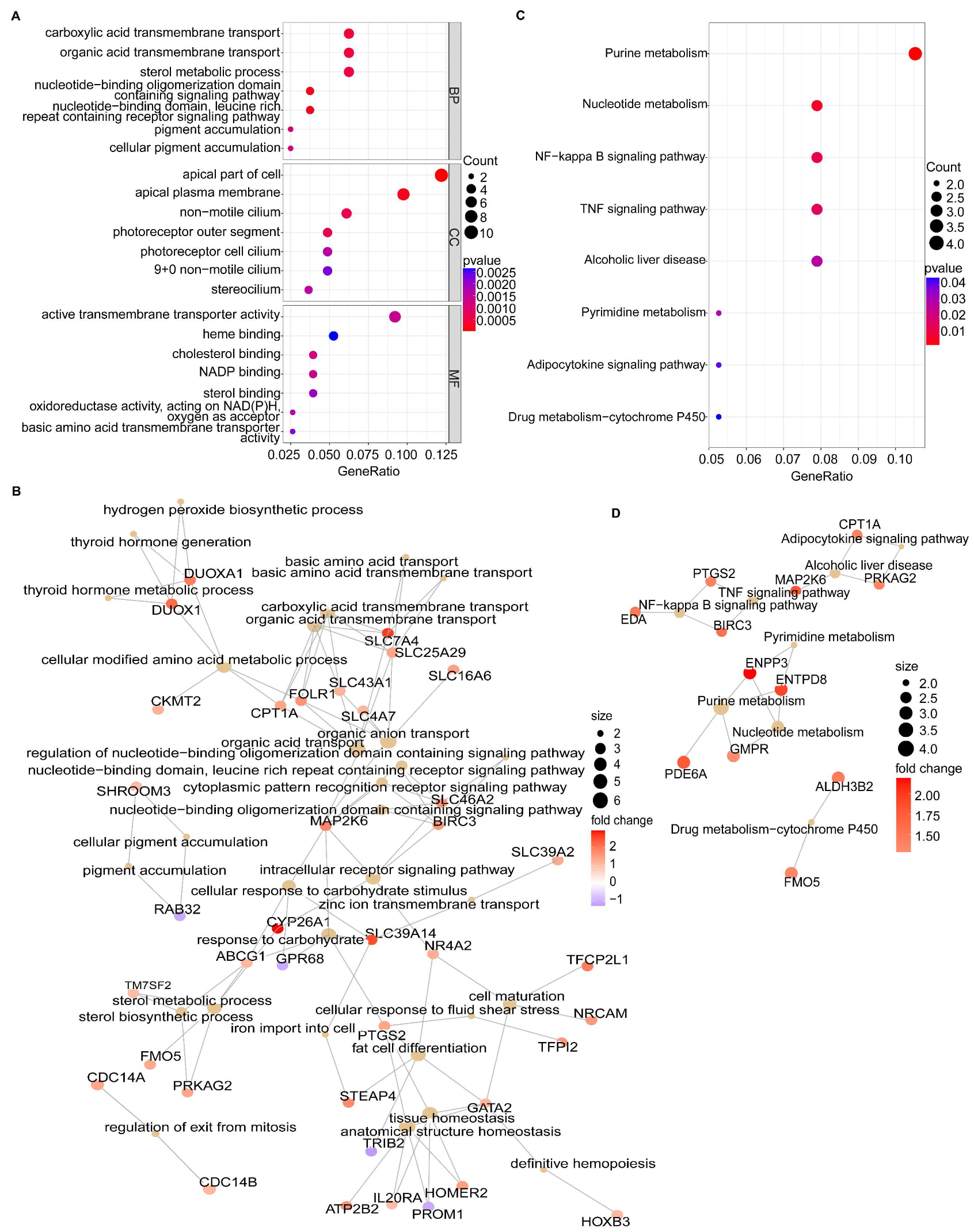 Biomolecules 13 00406 g003