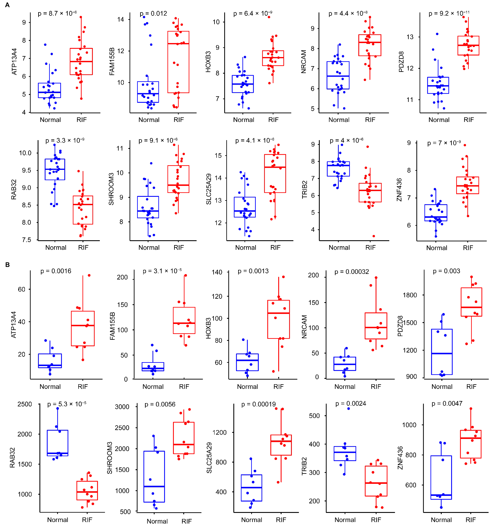 Biomolecules 13 00406 g005